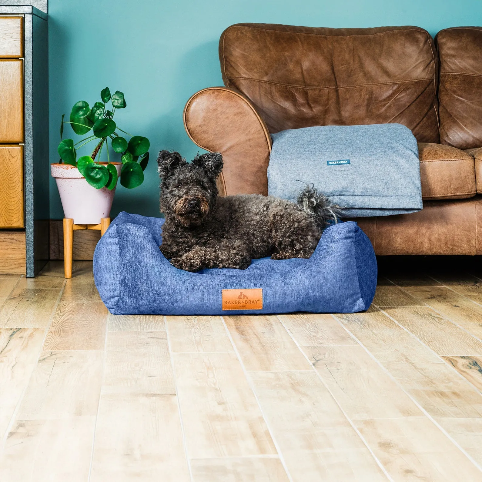 Baker & Bray Eco Luxe Orthopaedic Luxury Dog Bed