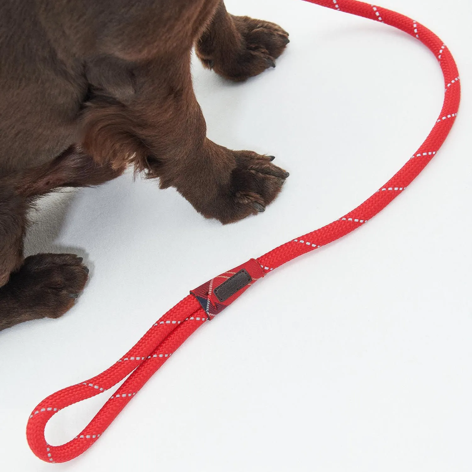 Barbour Reflective Slip Dog Lead in Red