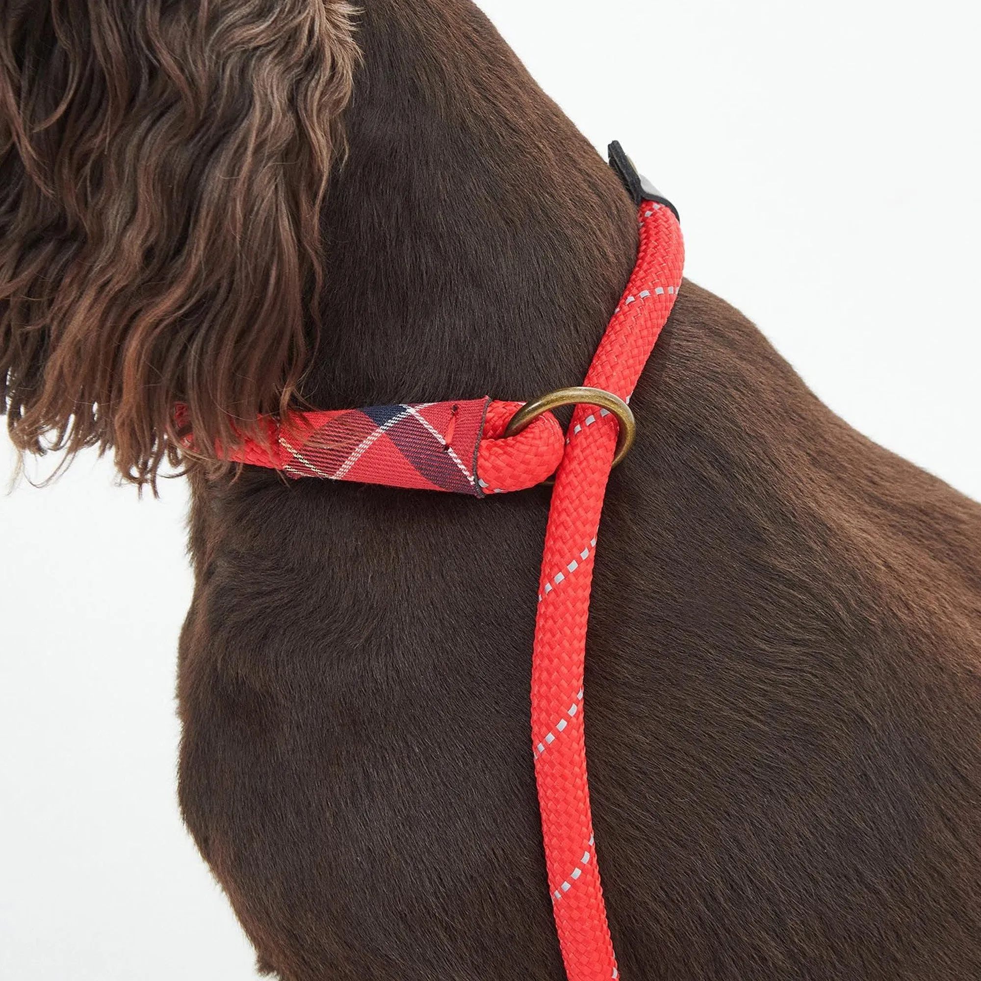 Barbour Reflective Slip Lead