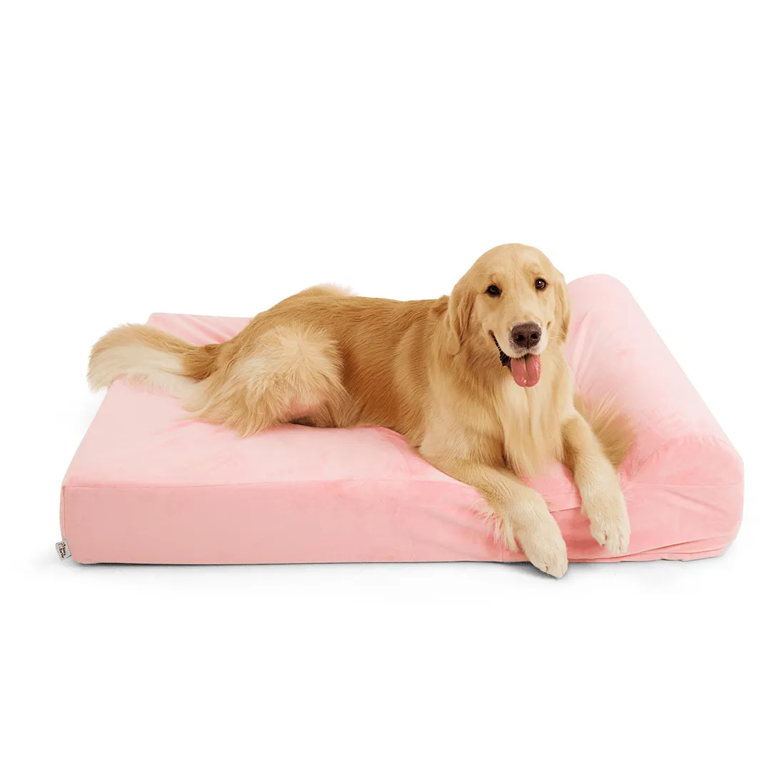 Binky Barker Dog Bed