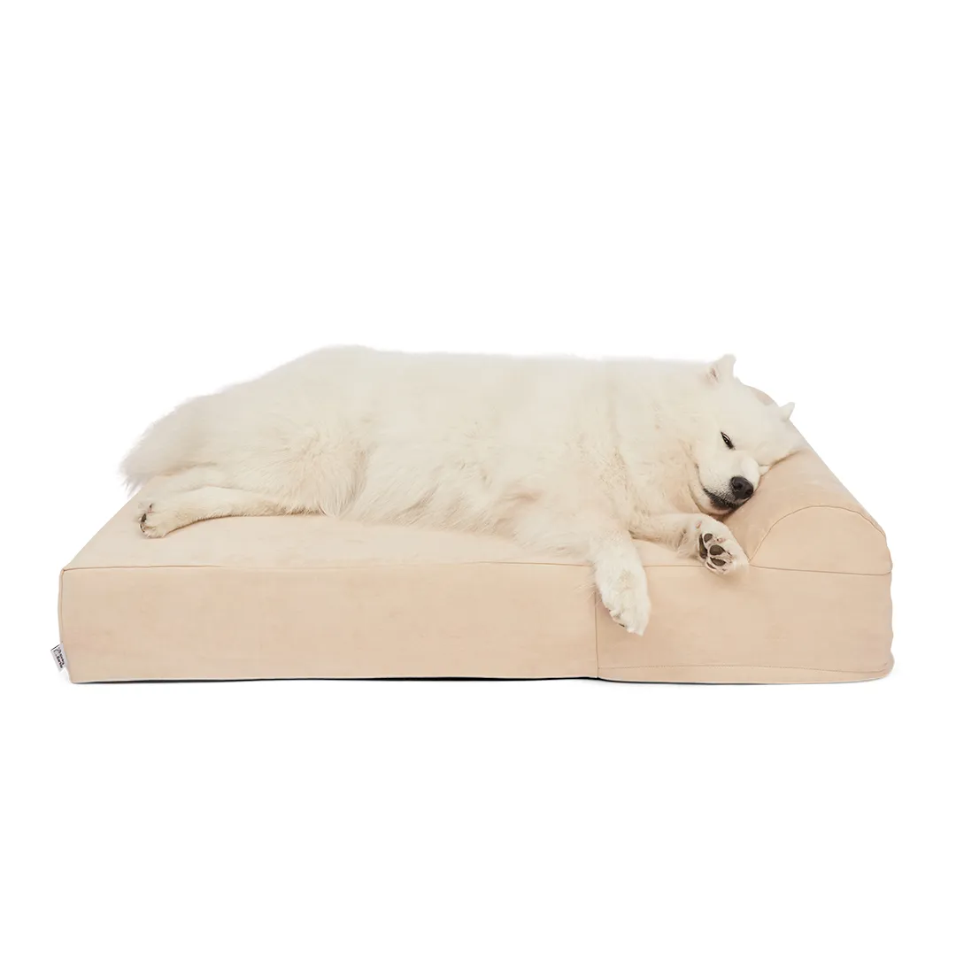Binky Barker Dog Bed