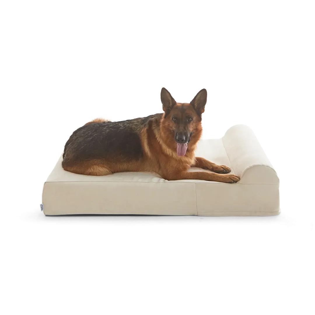 Binky Barker Dog Bed
