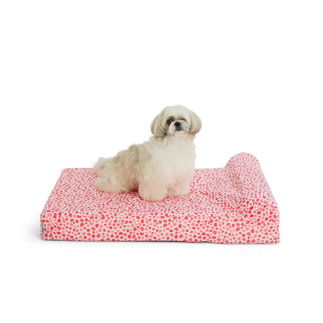 Binky Barker Dog Bed