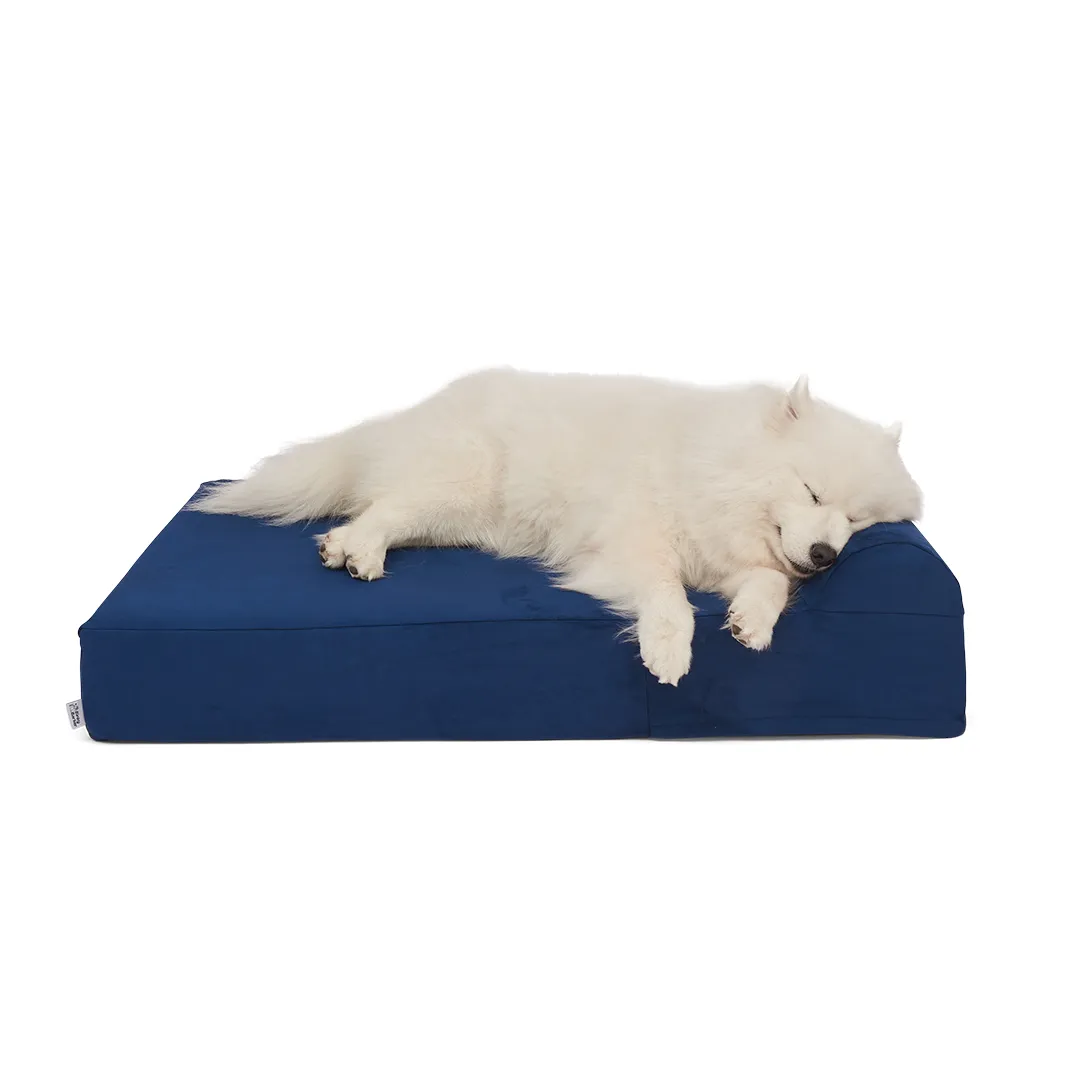 Binky Barker Dog Bed