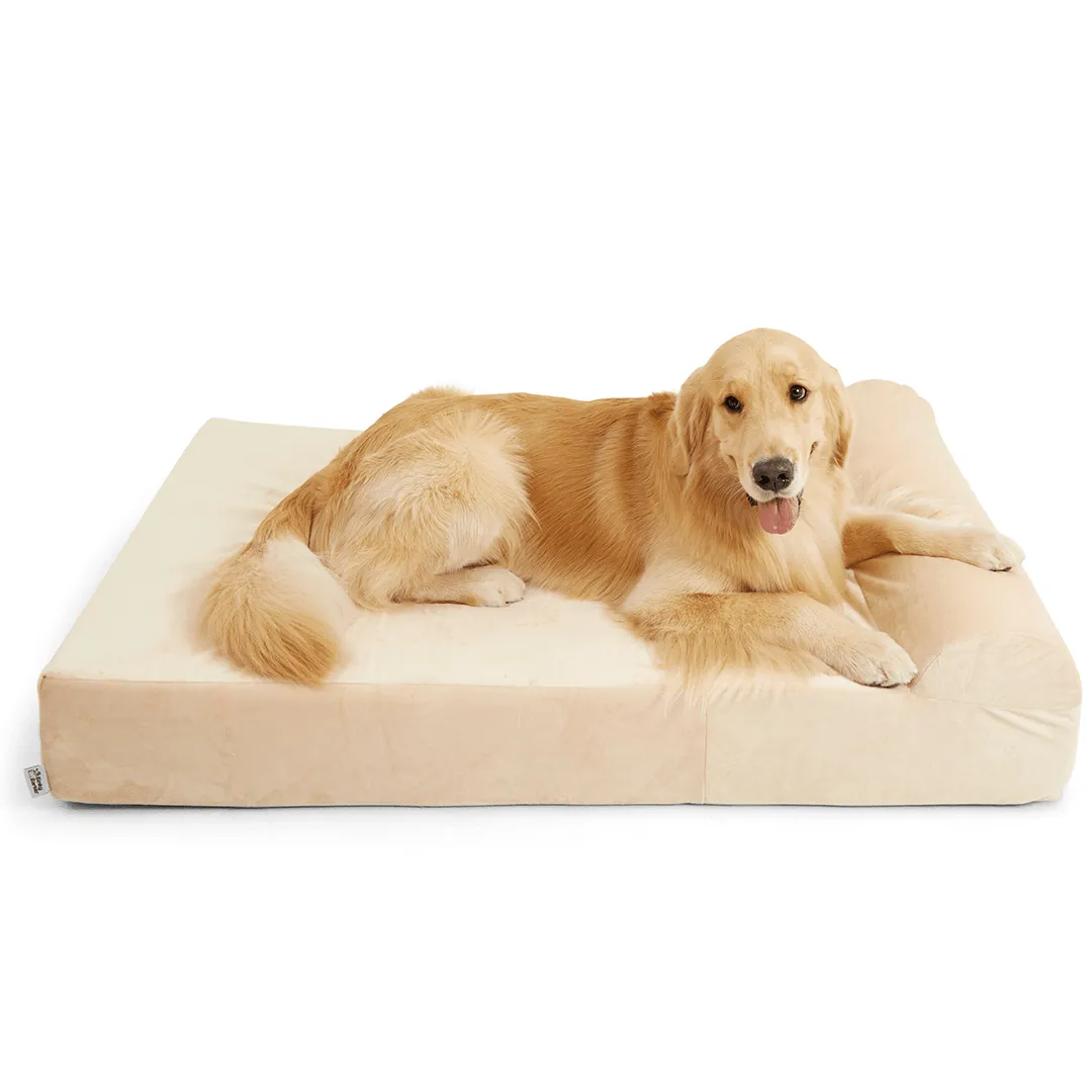 Binky Barker Dog Bed