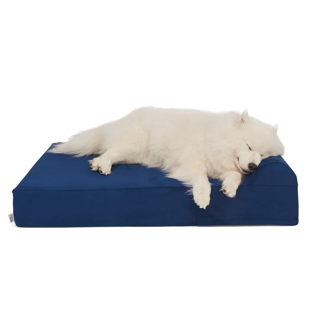 Binky Barker Dog Bed