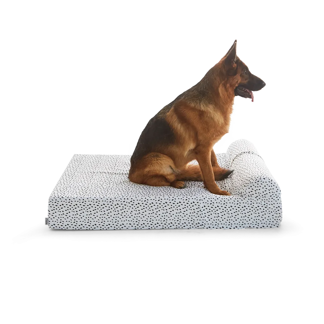 Binky Barker Dog Bed