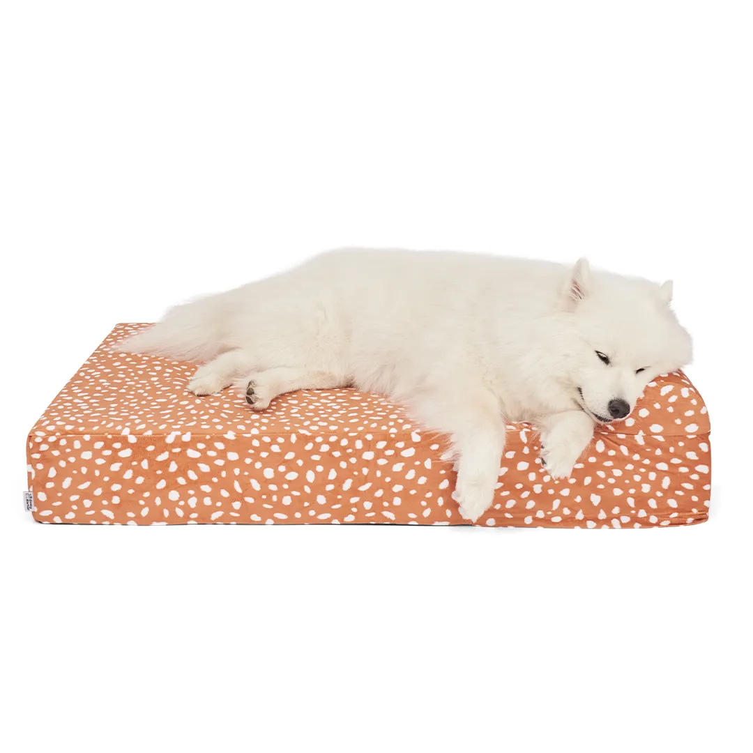 Binky Barker Dog Bed