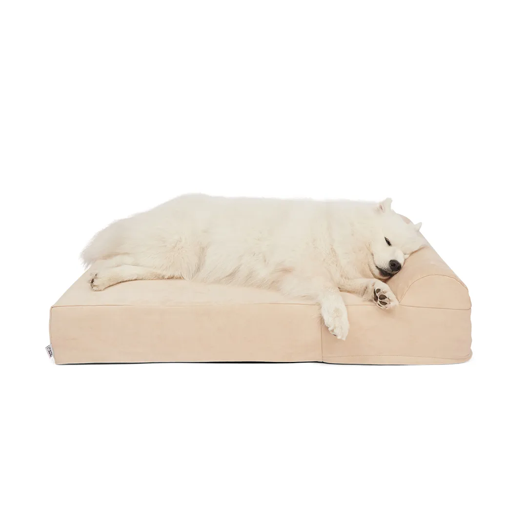 Binky Barker Dog Bed