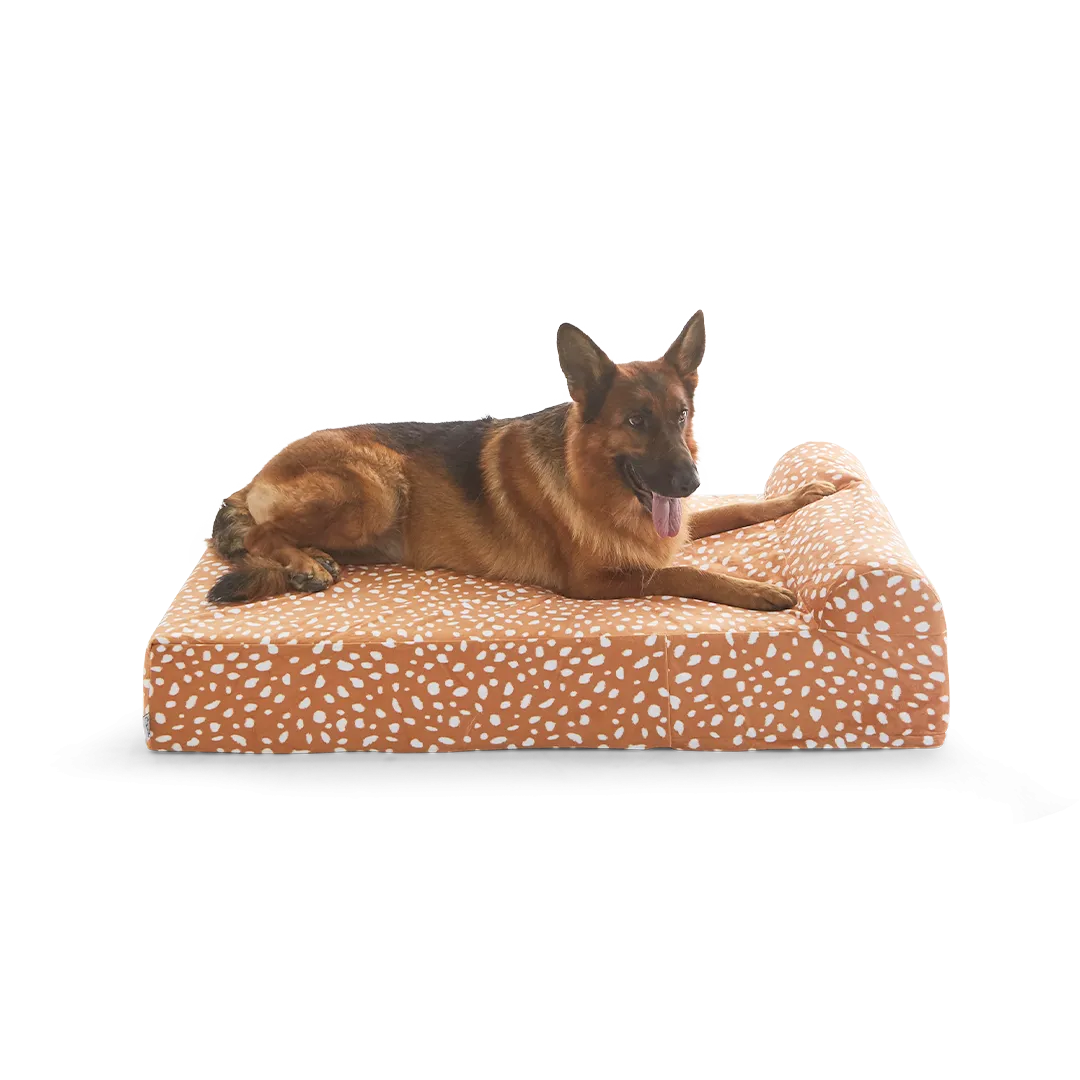 Binky Barker Dog Bed