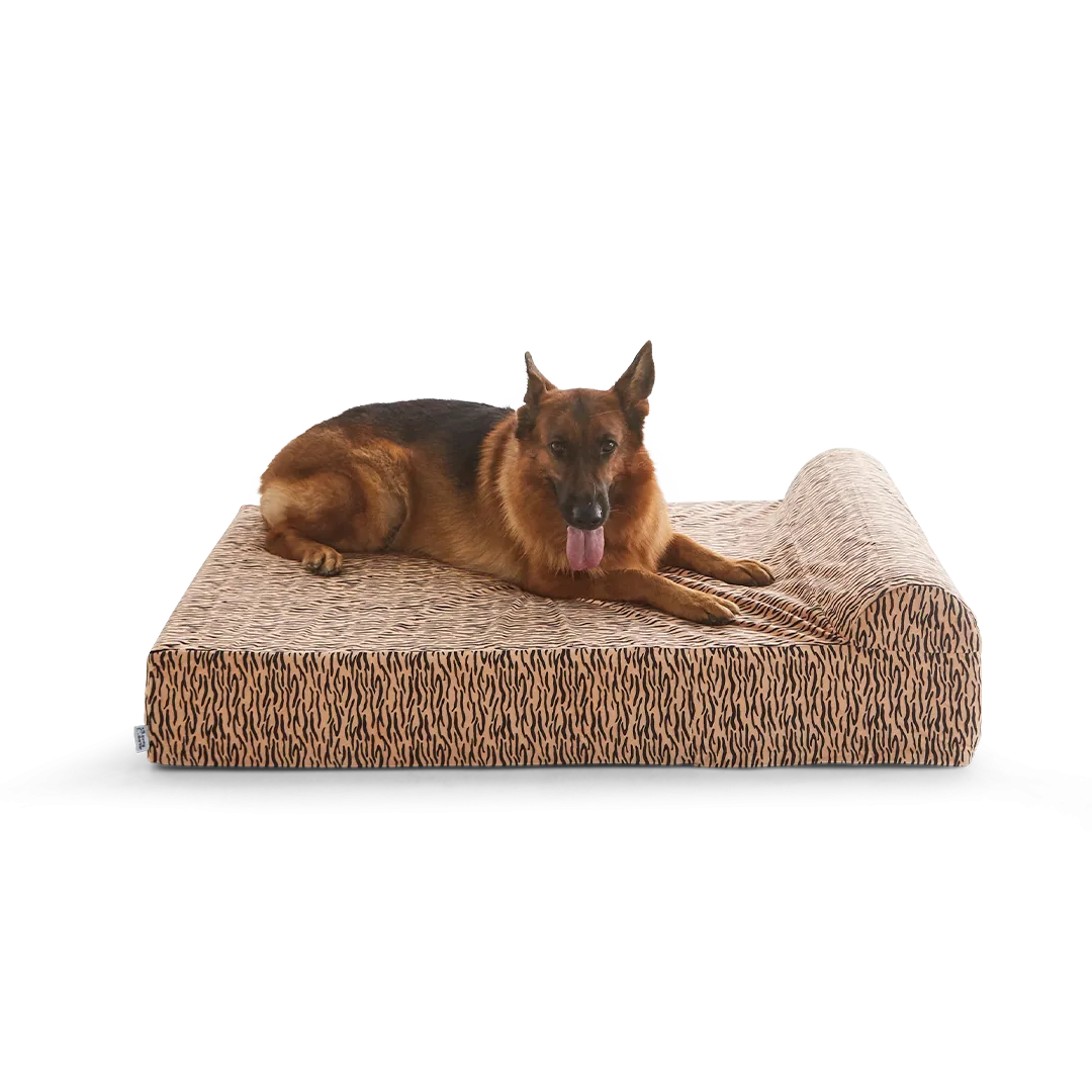 Binky Barker Dog Bed