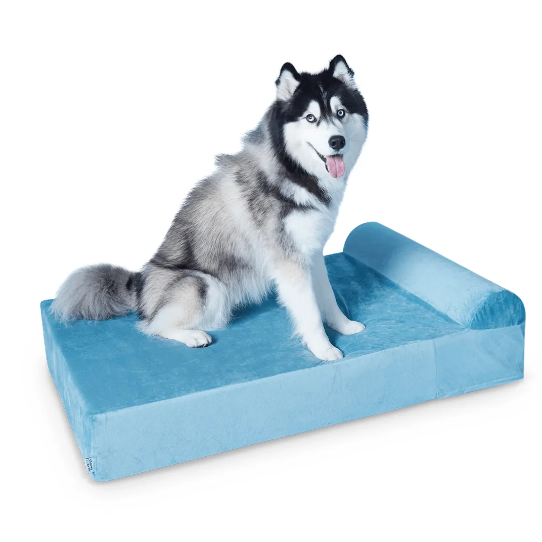 Binky Barker Dog Bed