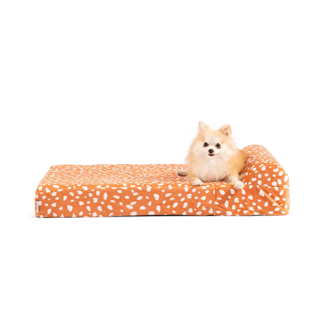 Binky Barker Dog Bed