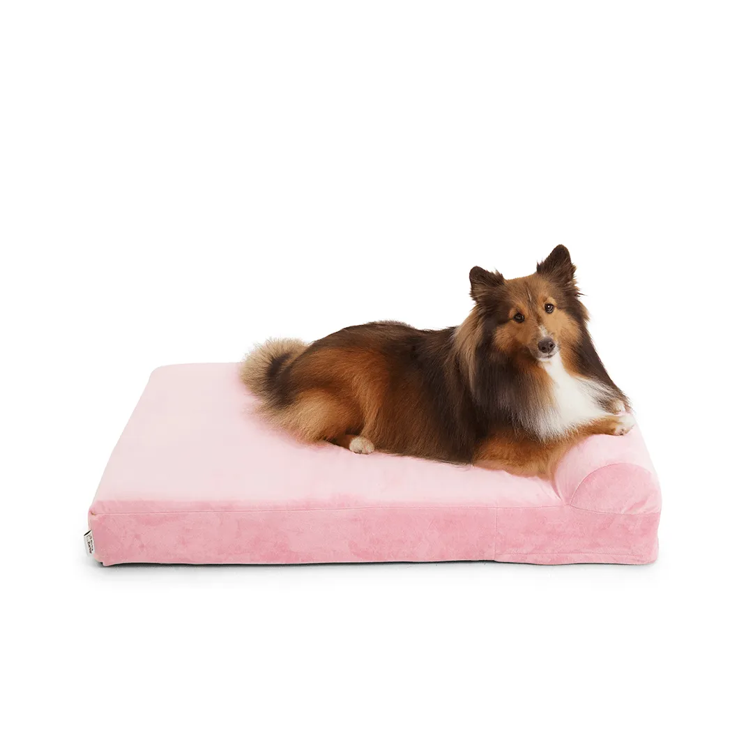 Binky Barker Dog Bed