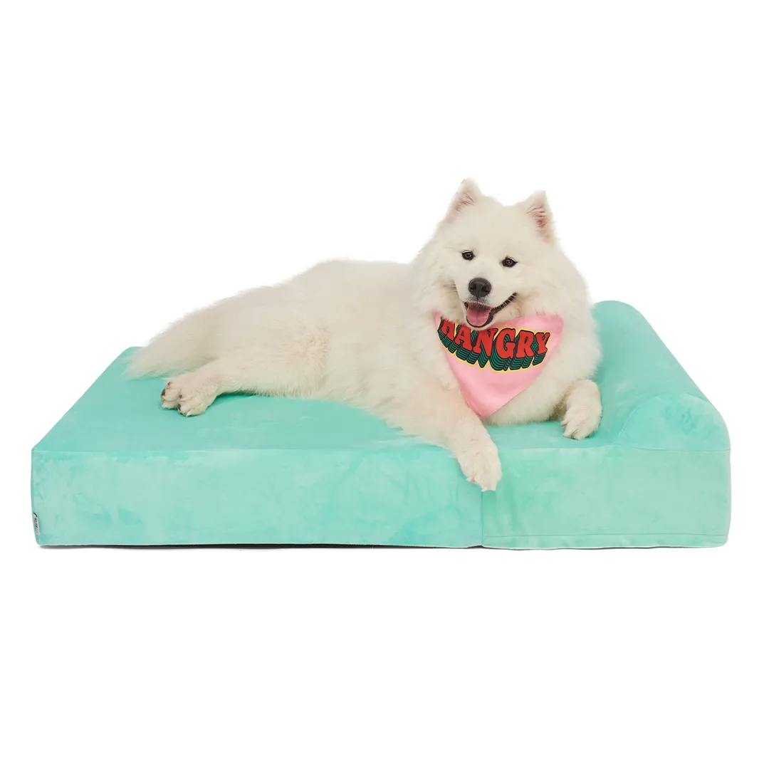 Binky Barker Dog Bed