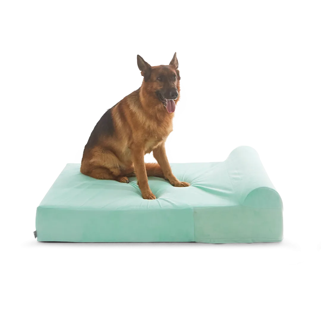 Binky Barker Dog Bed
