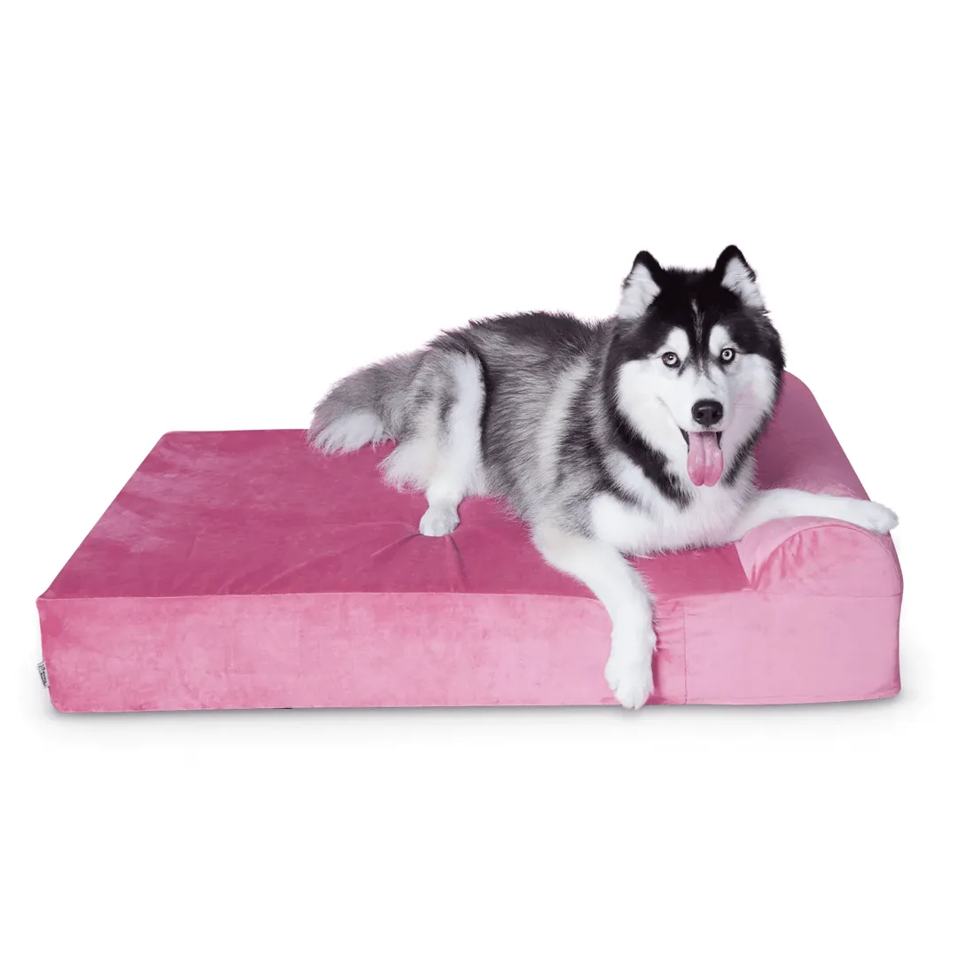 Binky Barker Dog Bed