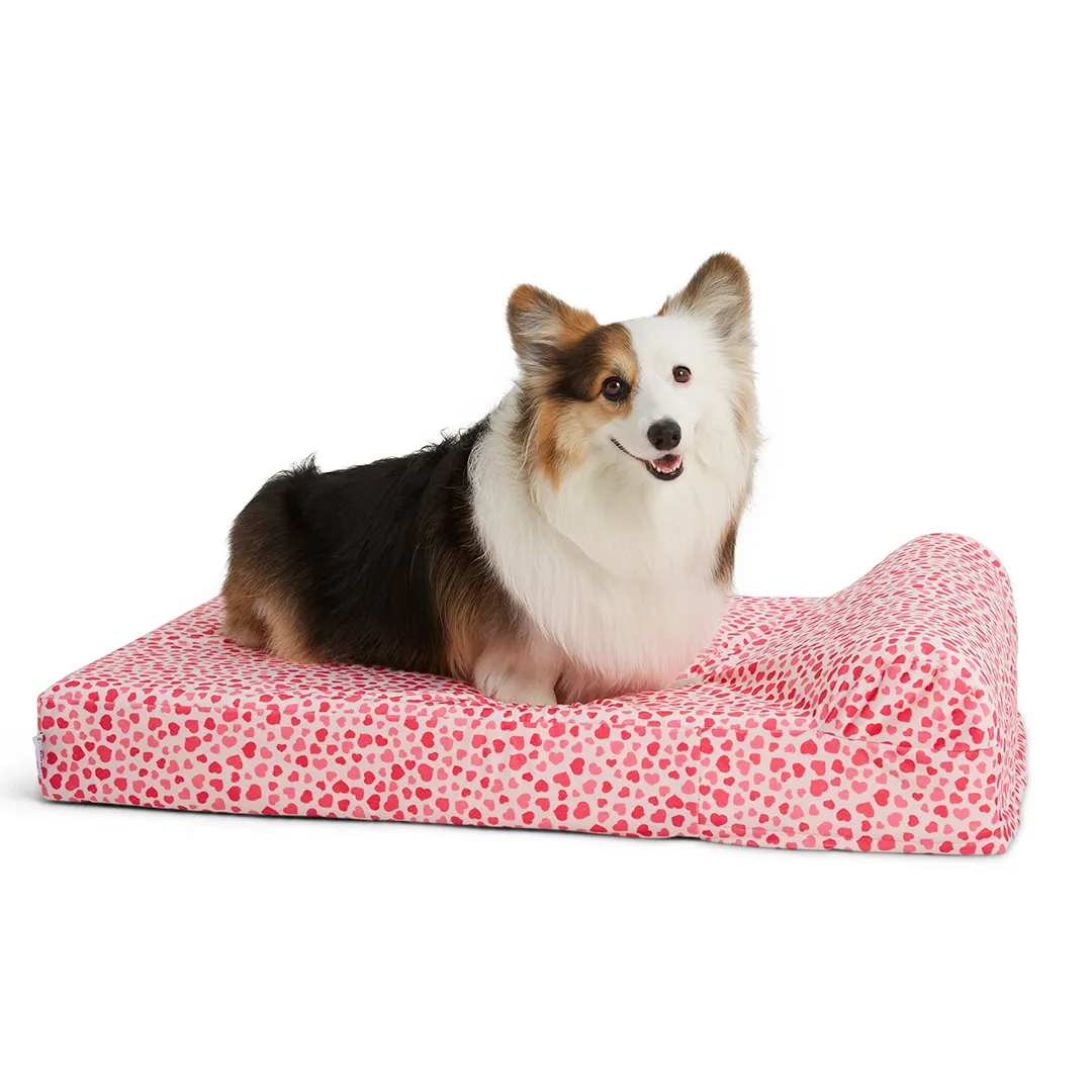 Binky Barker Dog Bed