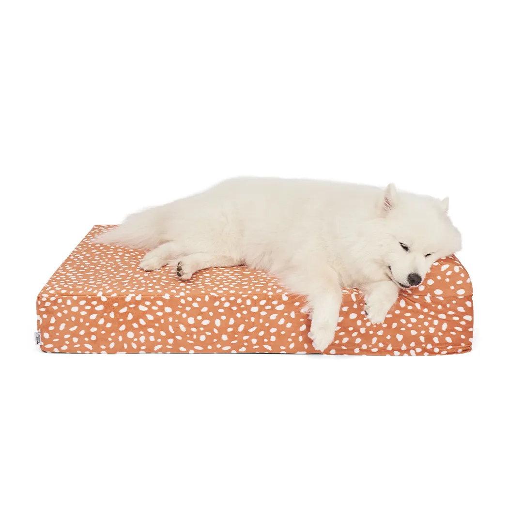 Binky Barker Dog Bed