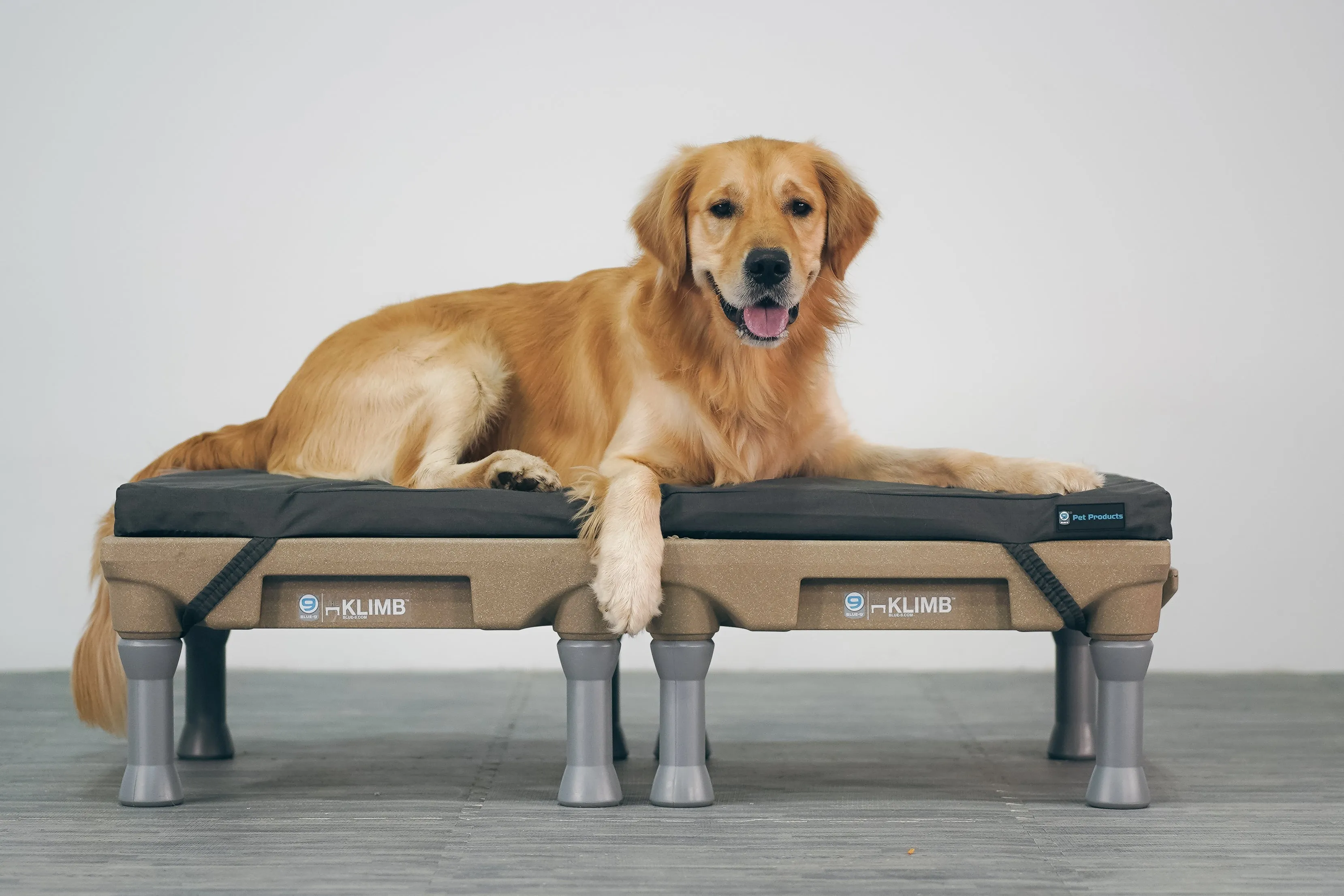 Blue-9 Restore  Double Dog Bed