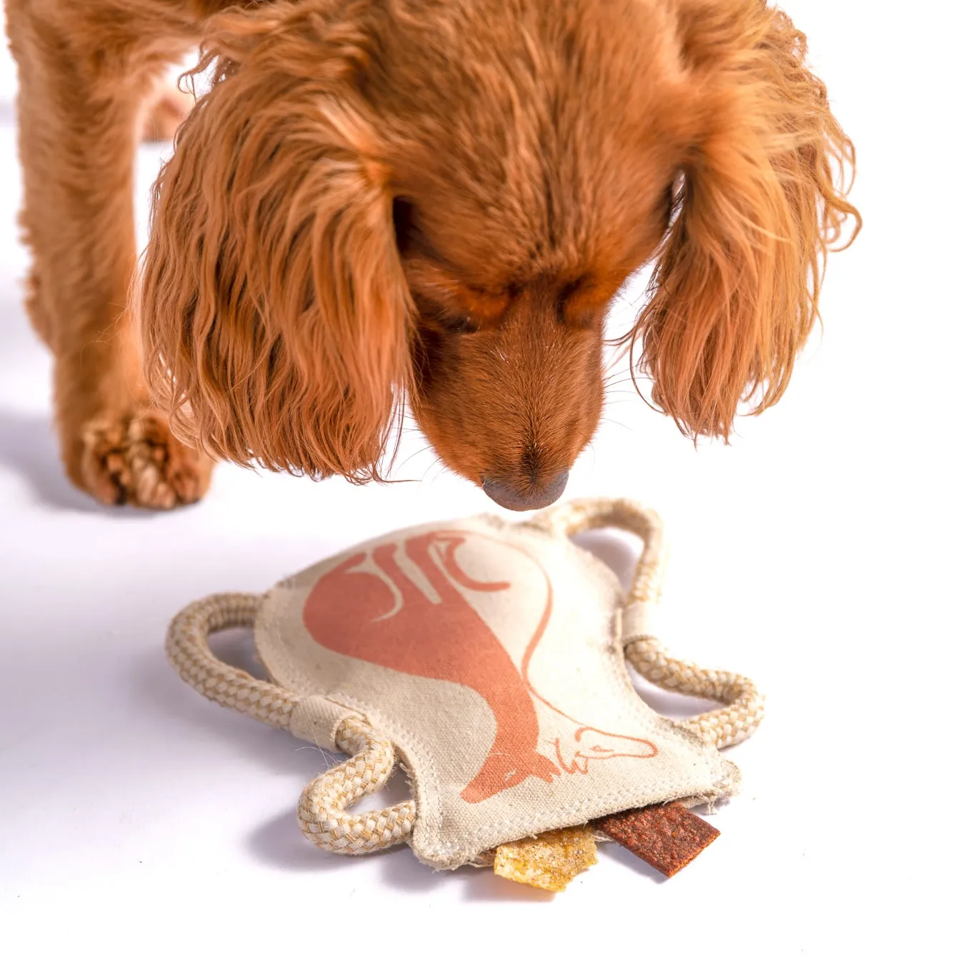Canvas Gemini Vase Puzzle Toy