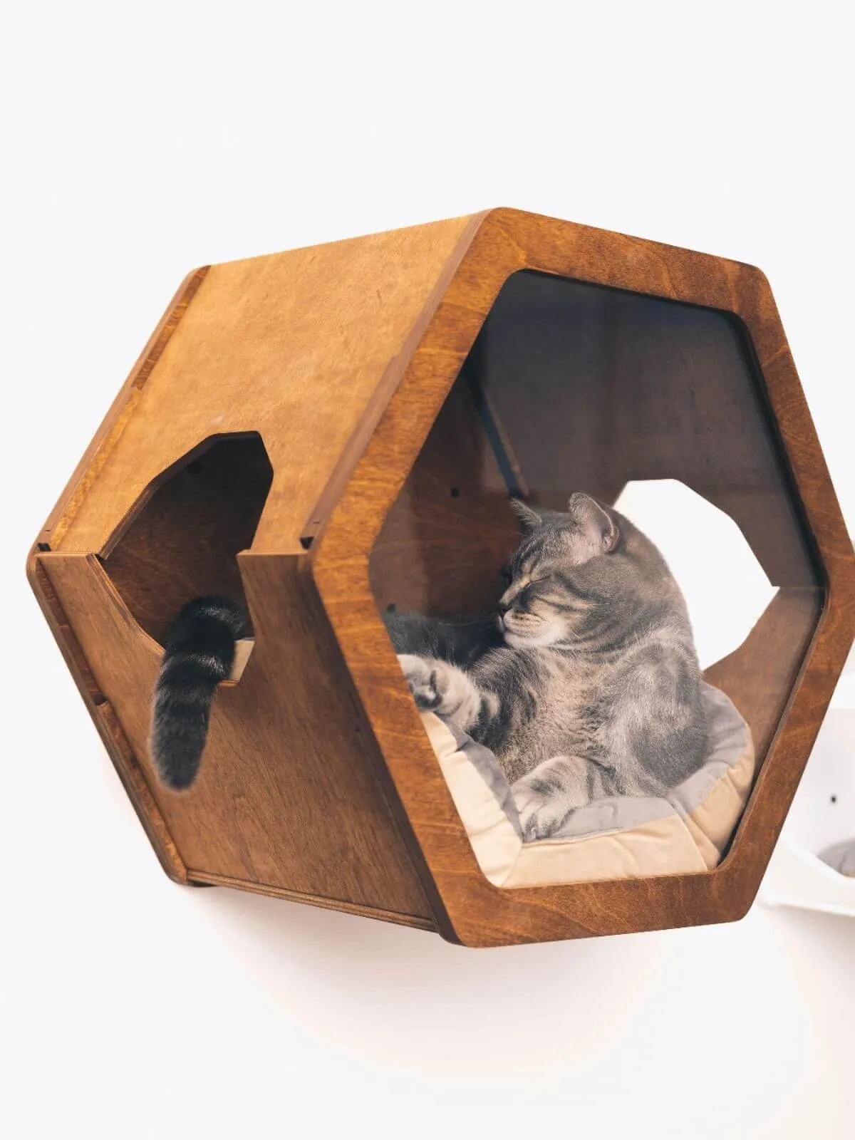 Cat Cushion Pillow