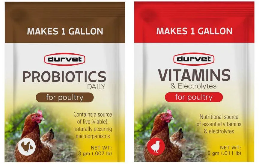 Chick First Aid Kit