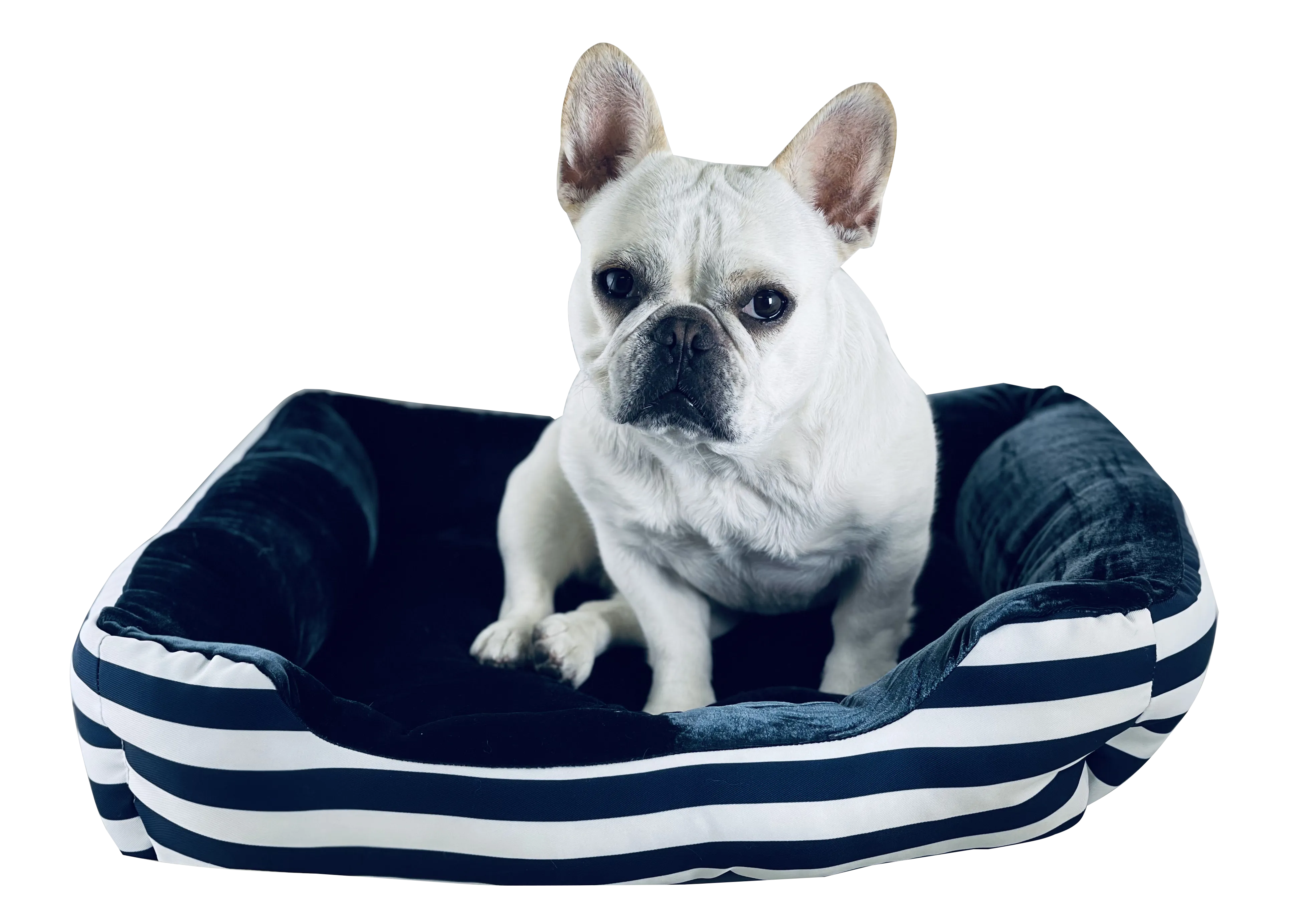 Cozy Dog Bed Blue Stripe