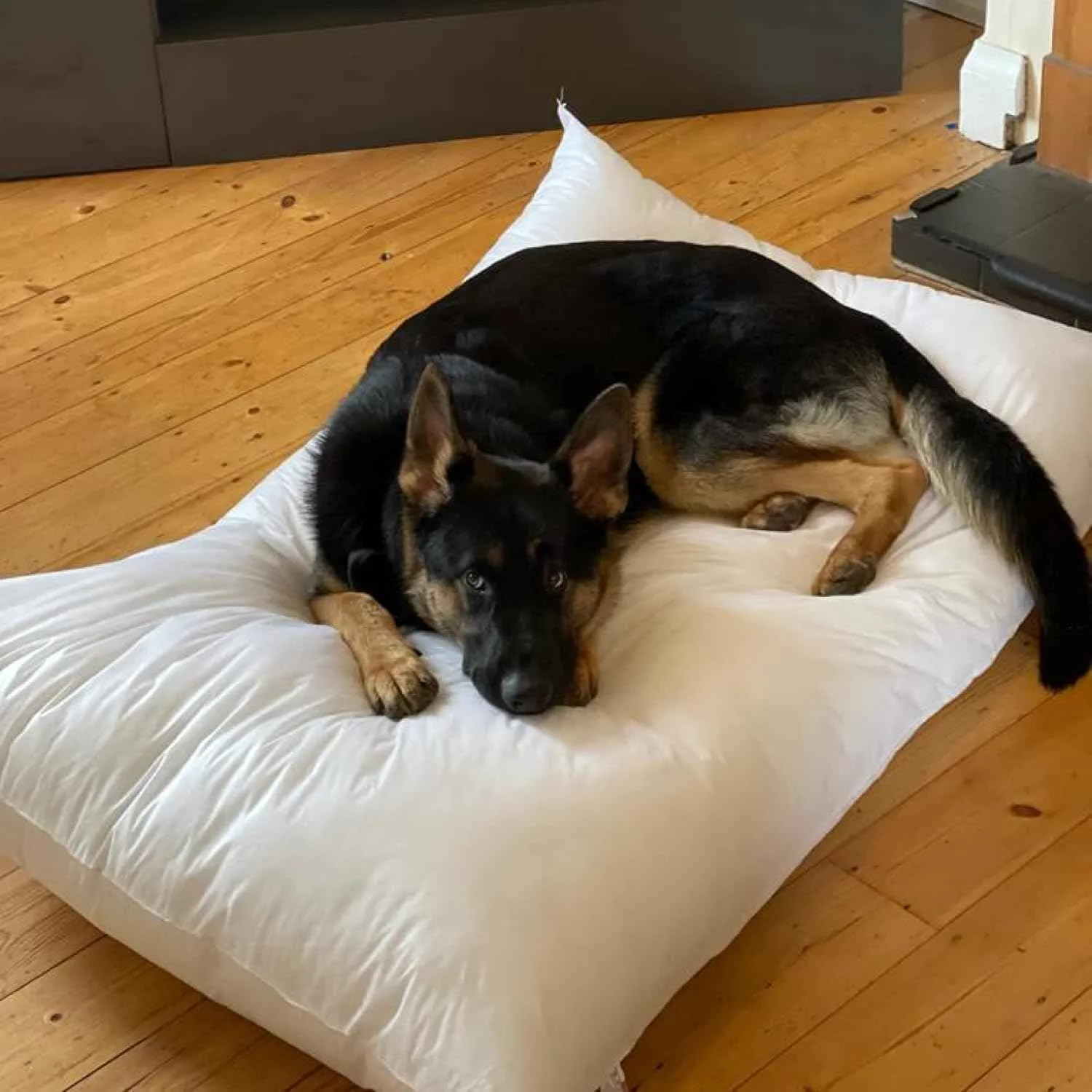 Dog Cushion Bed Inner Insert Hollowfibre Bounce Back Breathable Large 30" x 39" Pad