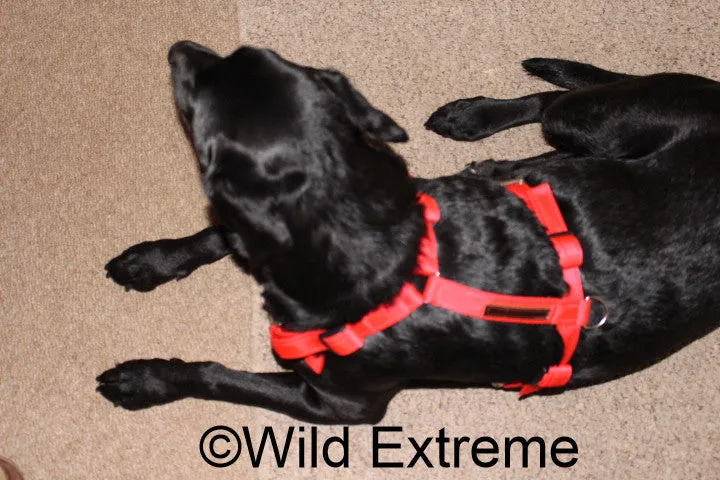 Dog Harness (Small) Size 0