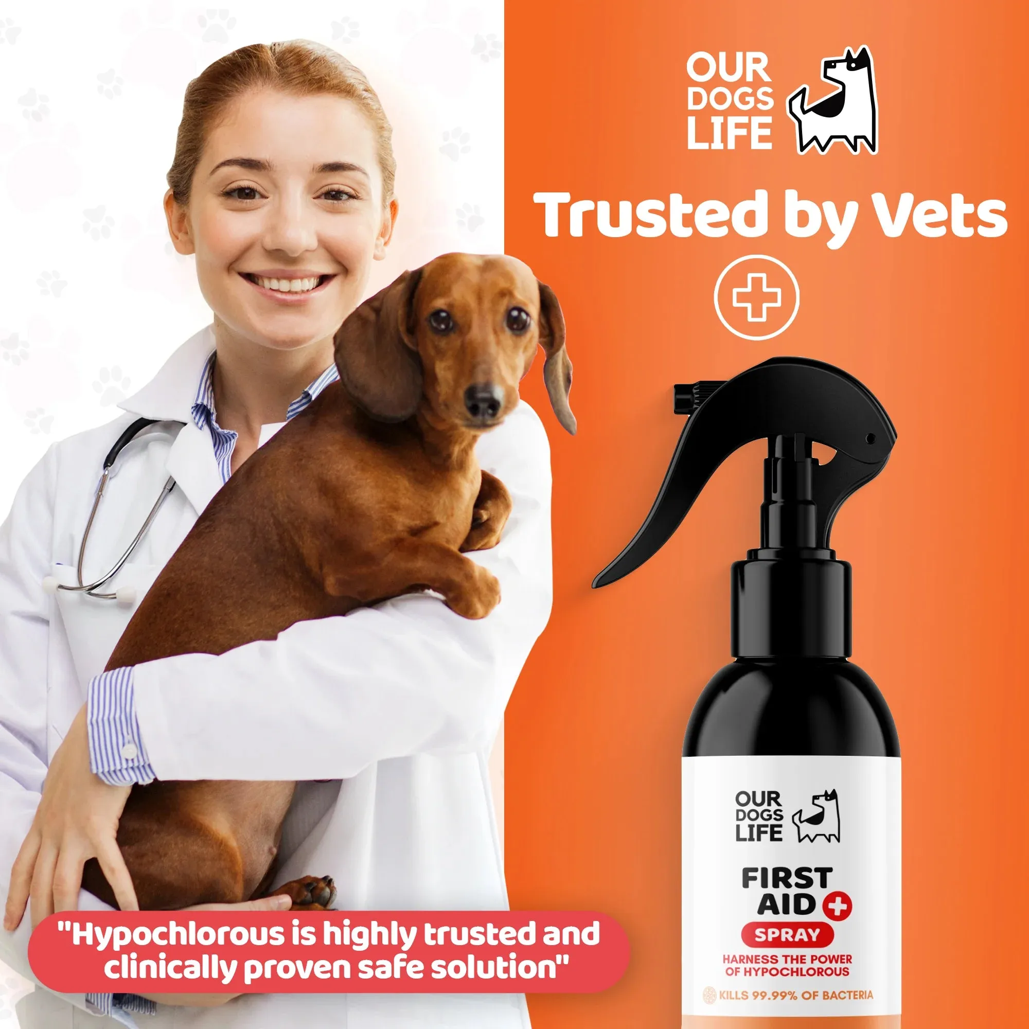 Dogslife First Aid Spray 250ml