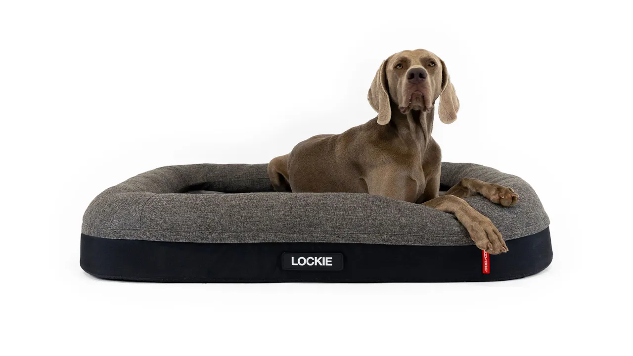 EzyDog 2in1 Ortho Calm Elite Bed Charcoal/Black