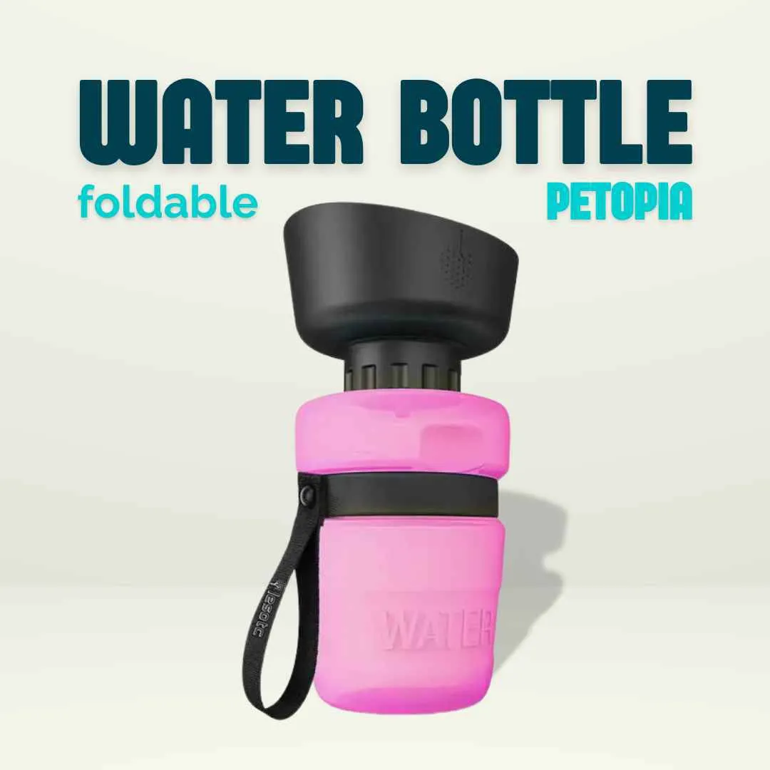 Foldable dog water bottle