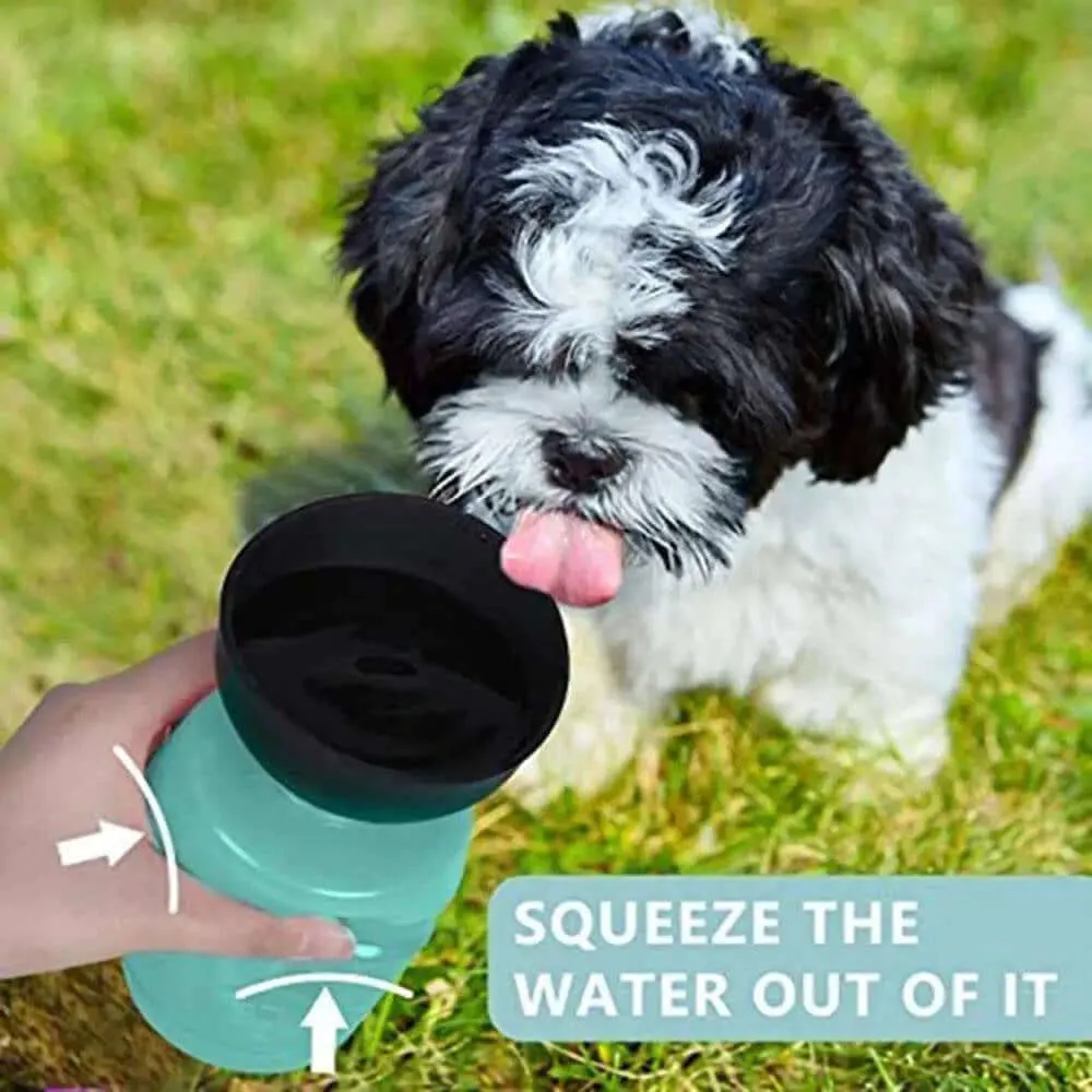 Foldable dog water bottle