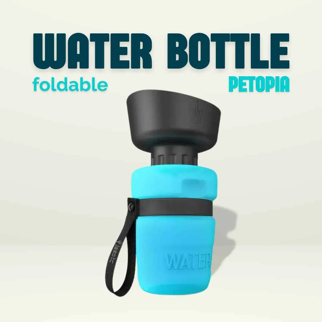 Foldable dog water bottle