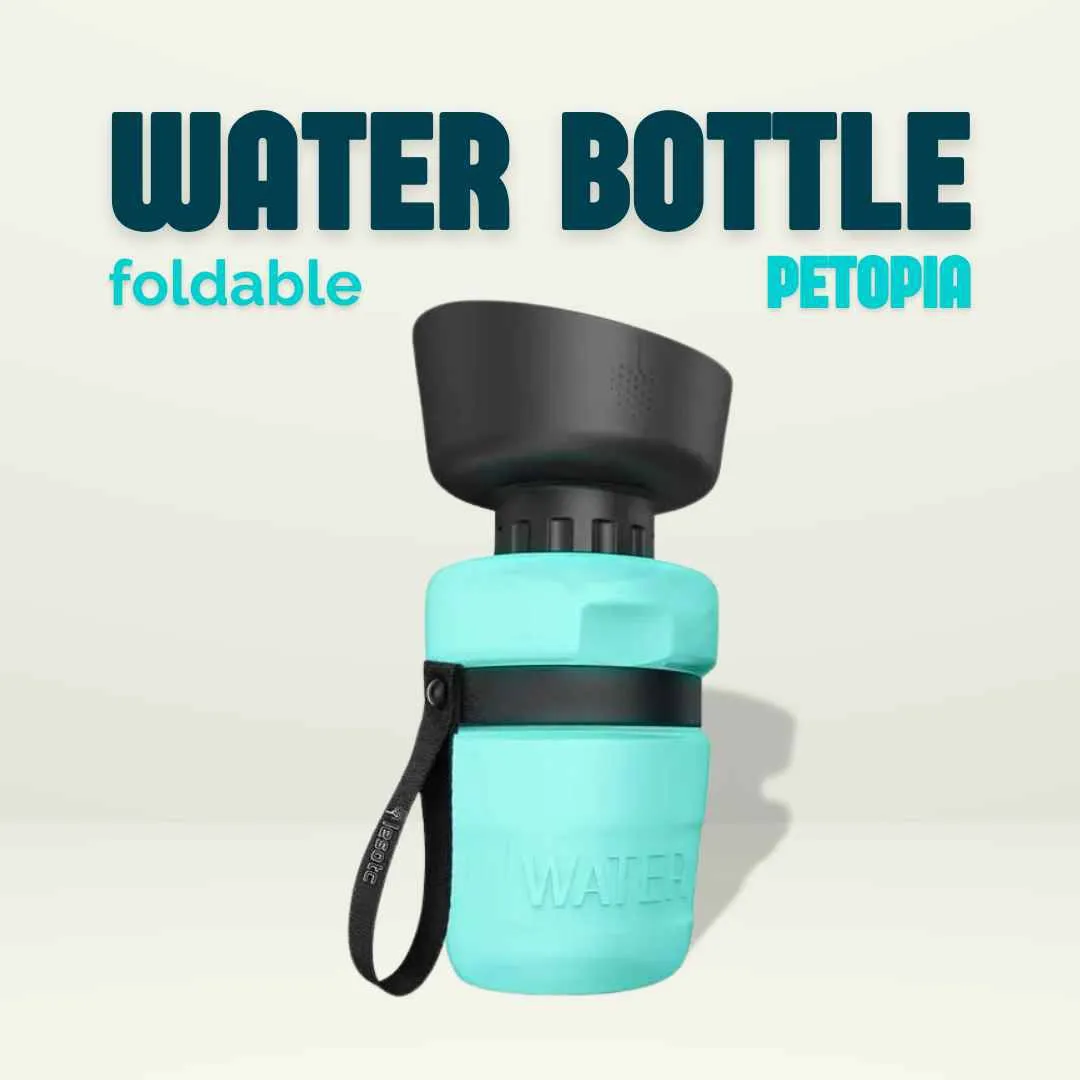 Foldable dog water bottle
