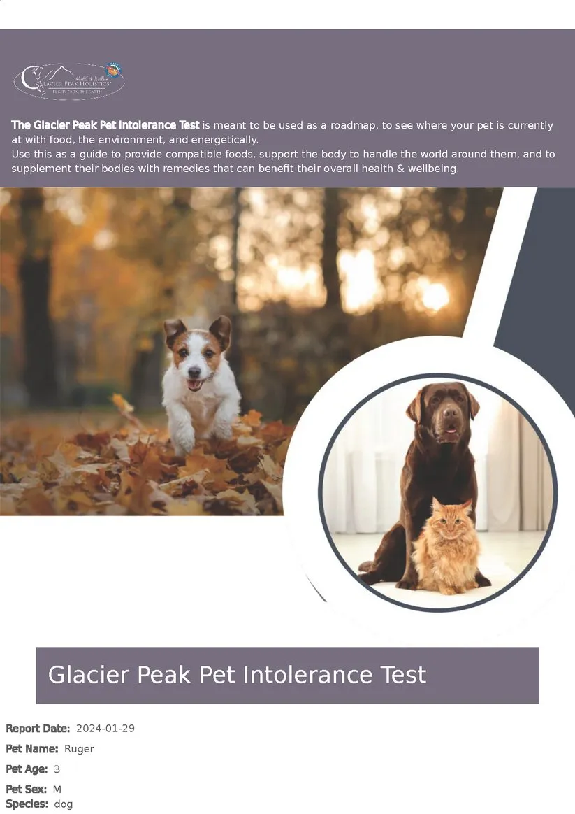 Glacier Peak Holistics Pet Intolerance Test