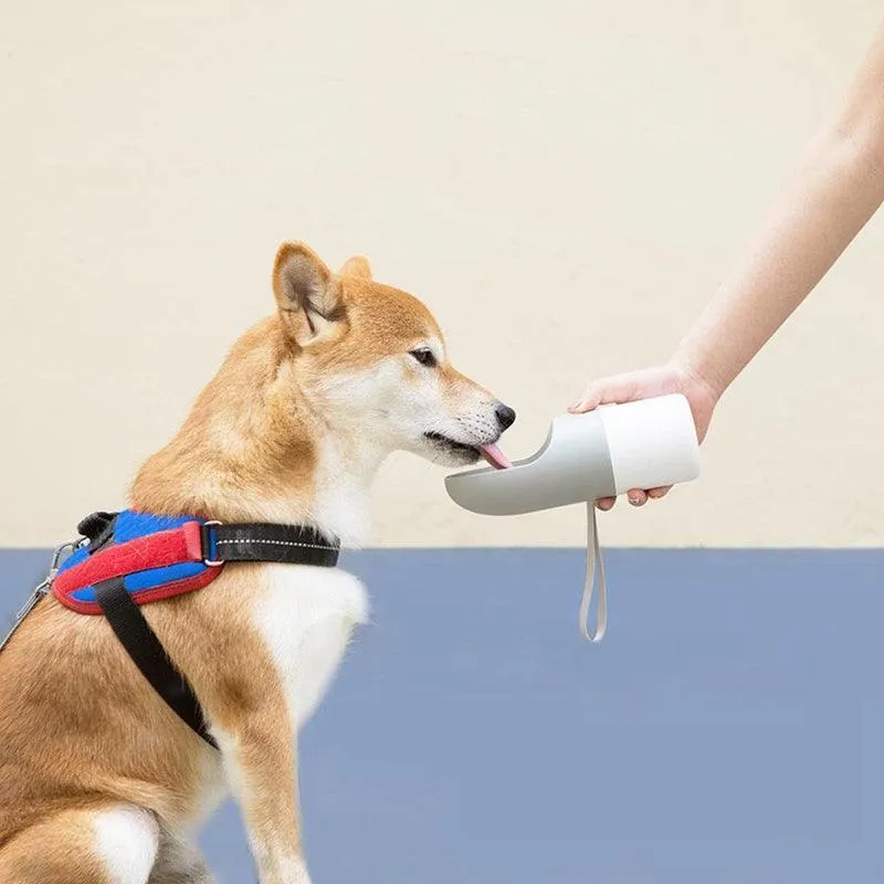 Hydration on the Go: MOESTAR Rocket Cup for Pets