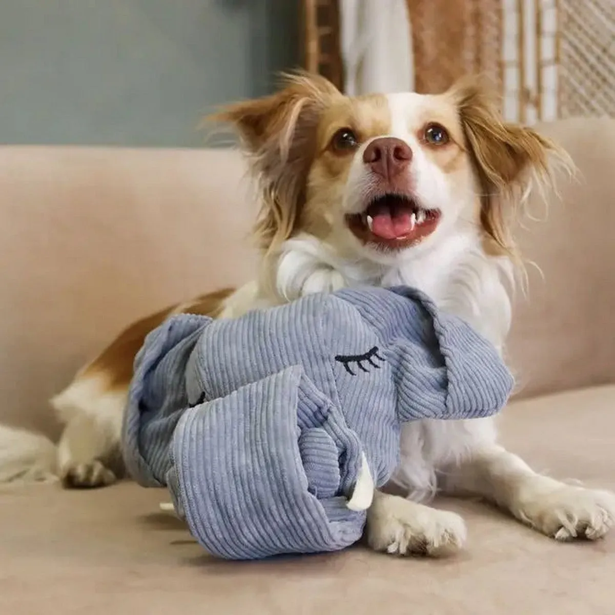 Injoya Trunk or Treat Snuffle Dog Toy