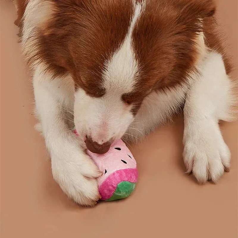Interactive Watermelon-Shaped Plush Toy for Pets
