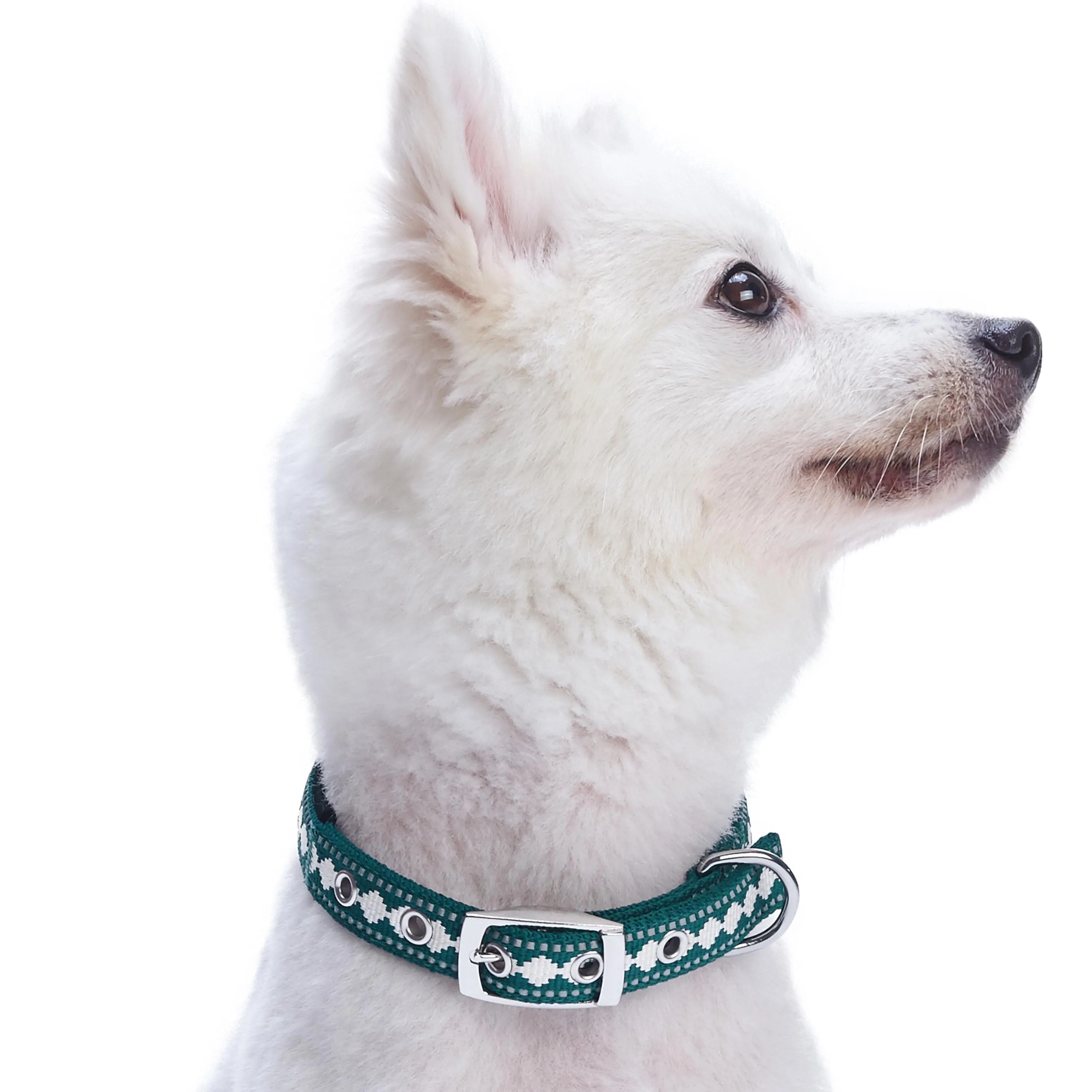 Jacquard Dog Collar with 3M Reflective Neoprene Padding