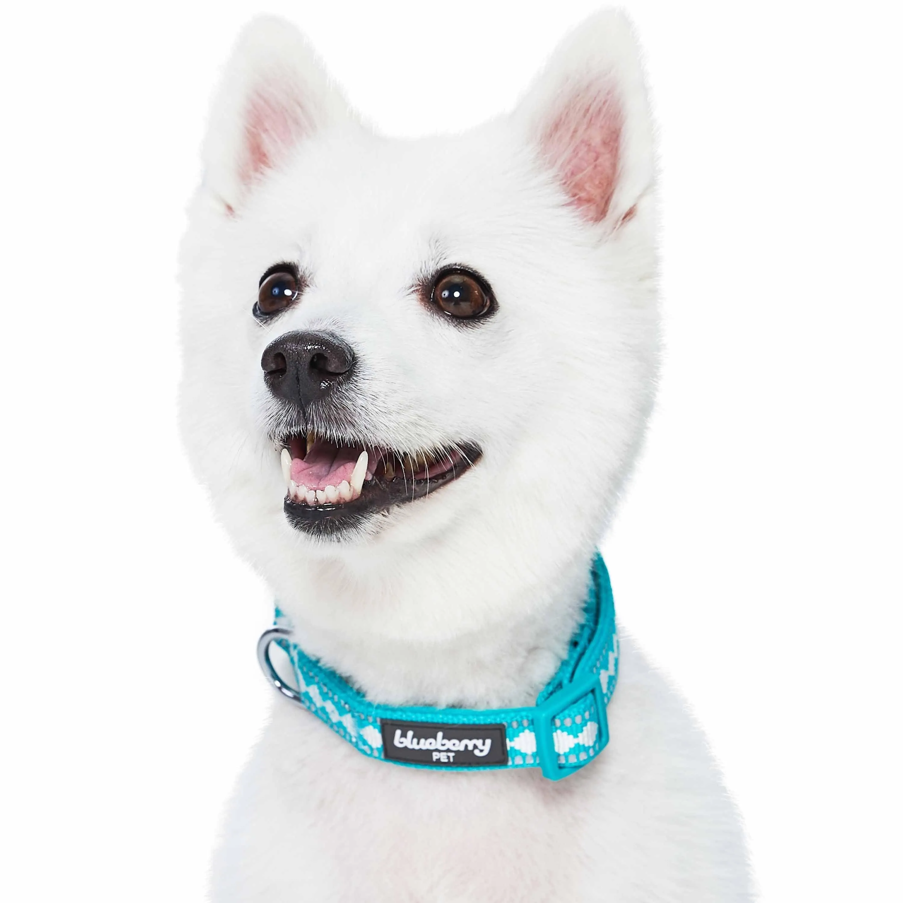 Jacquard Pattern Quick-Release Dog Collar with 3M Reflective Neoprene Padding and Webbing