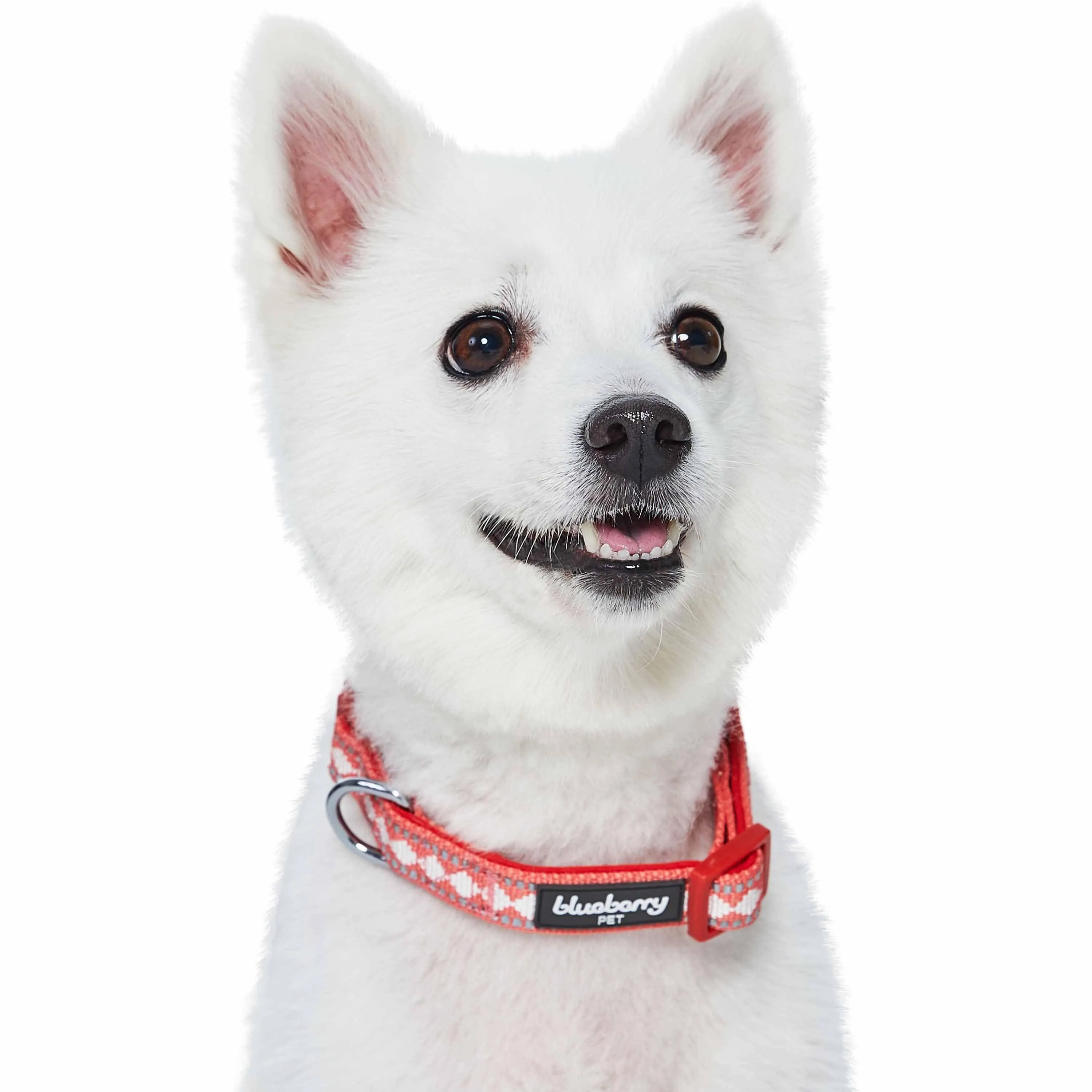 Jacquard Pattern Quick-Release Dog Collar with 3M Reflective Neoprene Padding and Webbing