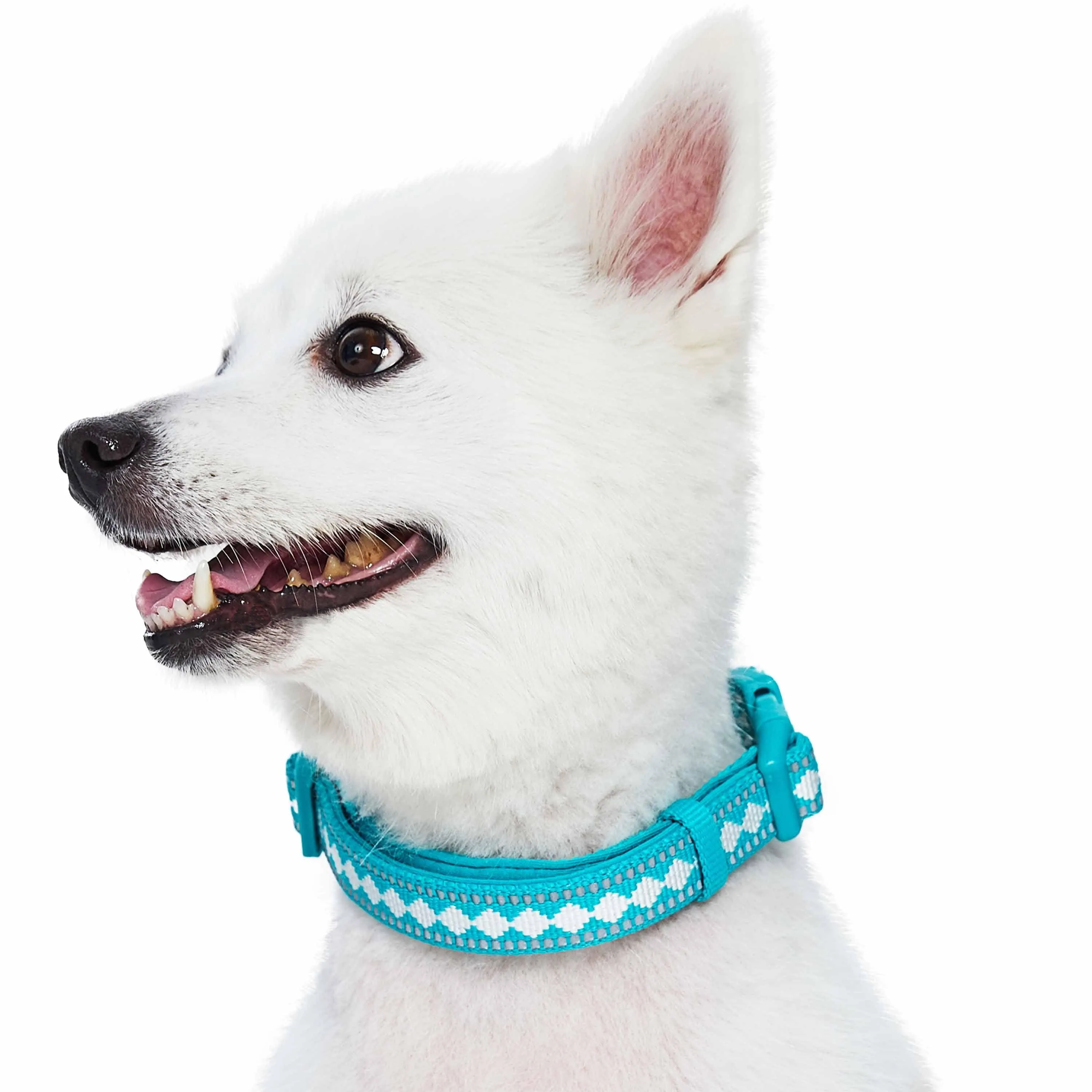 Jacquard Pattern Quick-Release Dog Collar with 3M Reflective Neoprene Padding and Webbing