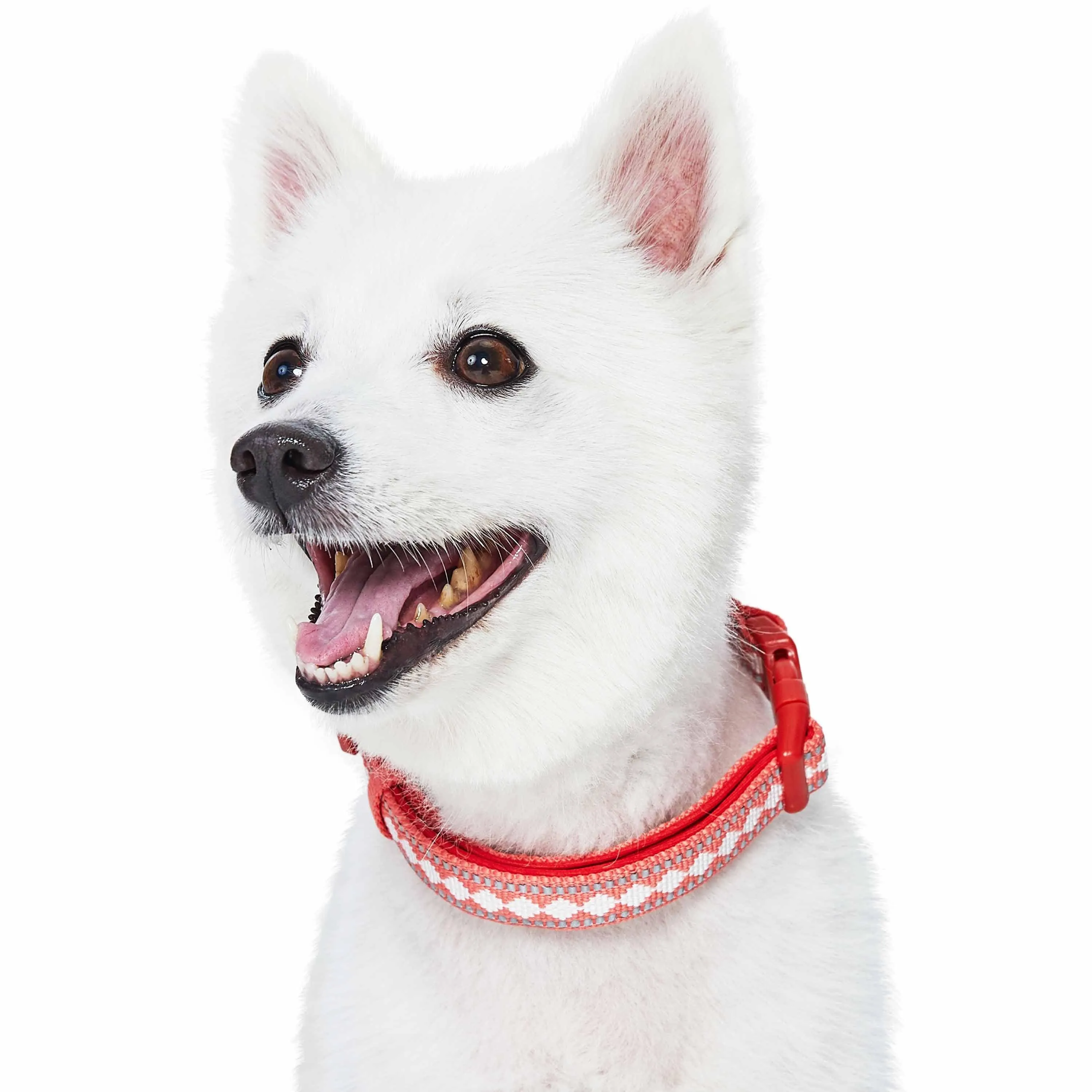 Jacquard Pattern Quick-Release Dog Collar with 3M Reflective Neoprene Padding and Webbing
