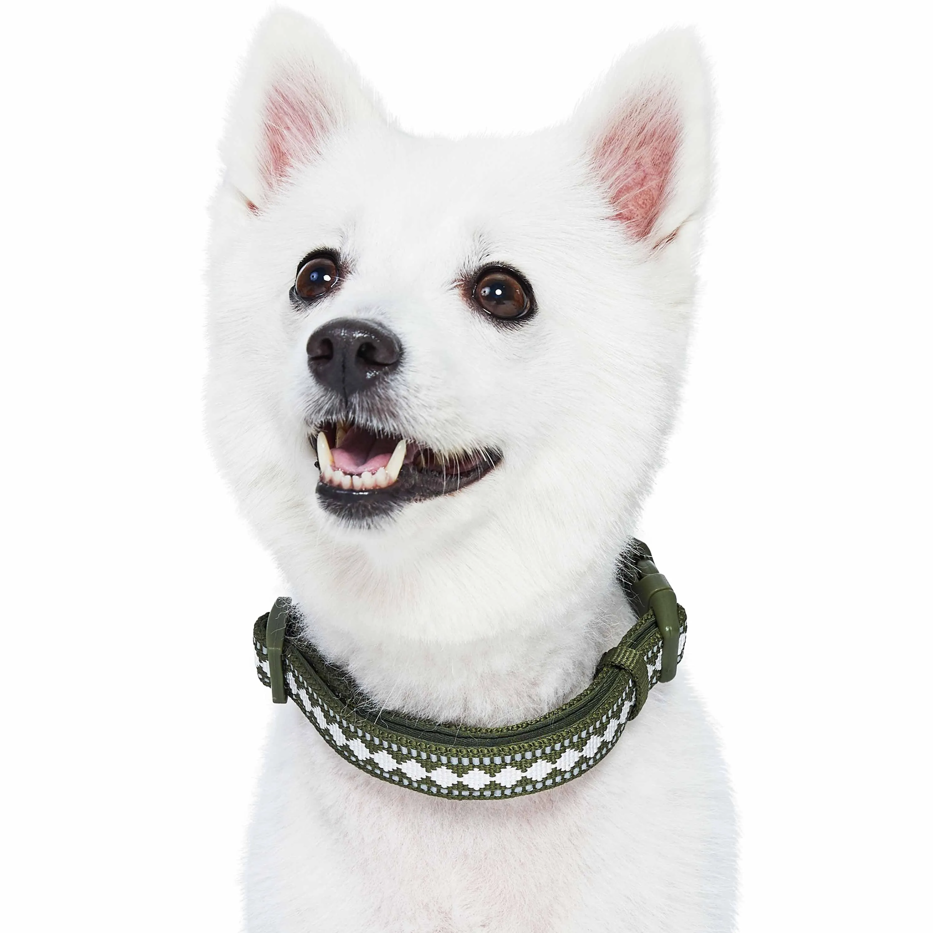 Jacquard Pattern Quick-Release Dog Collar with 3M Reflective Neoprene Padding and Webbing