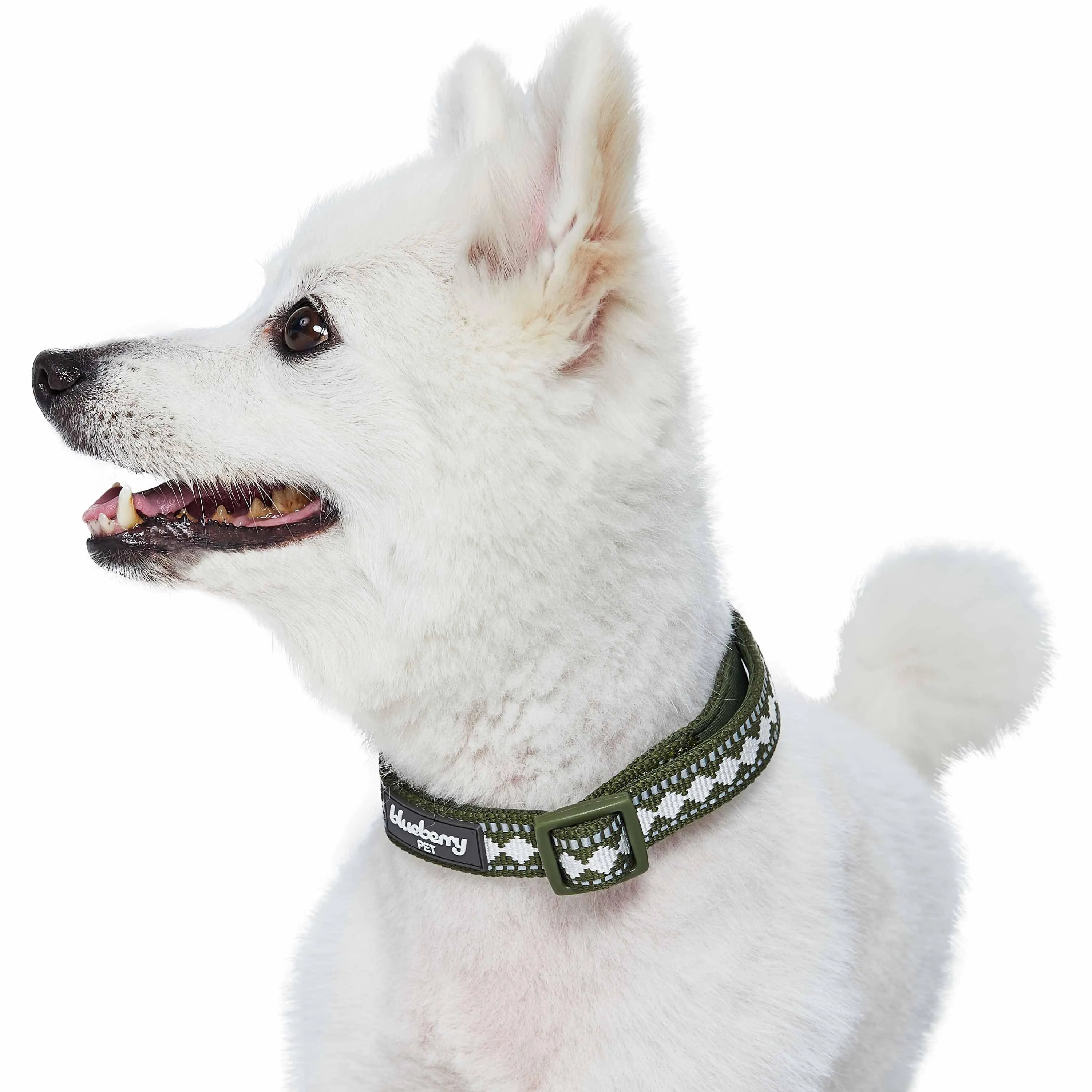 Jacquard Pattern Quick-Release Dog Collar with 3M Reflective Neoprene Padding and Webbing