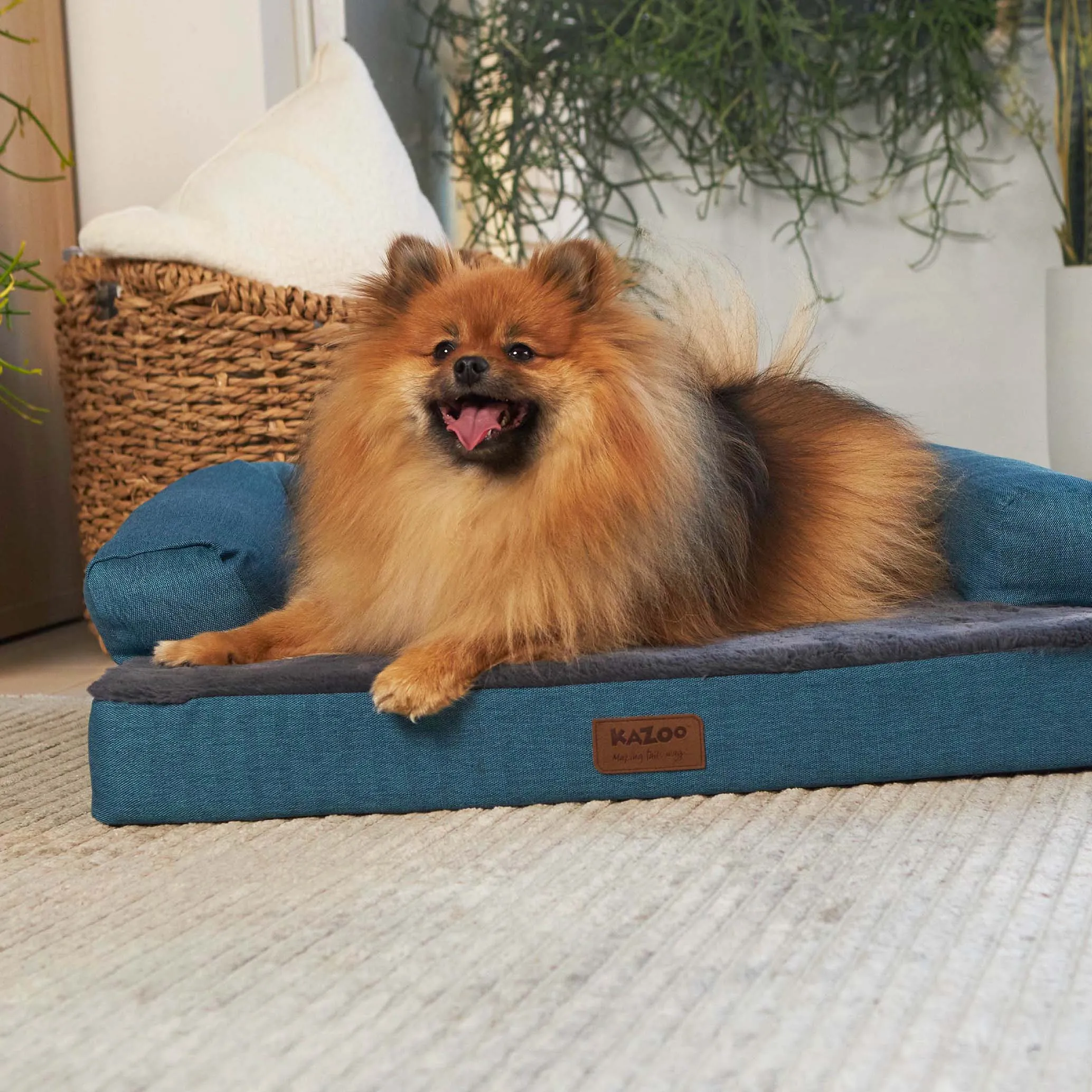 Kazoo Boudoir Large Teal Dog Bed^^^