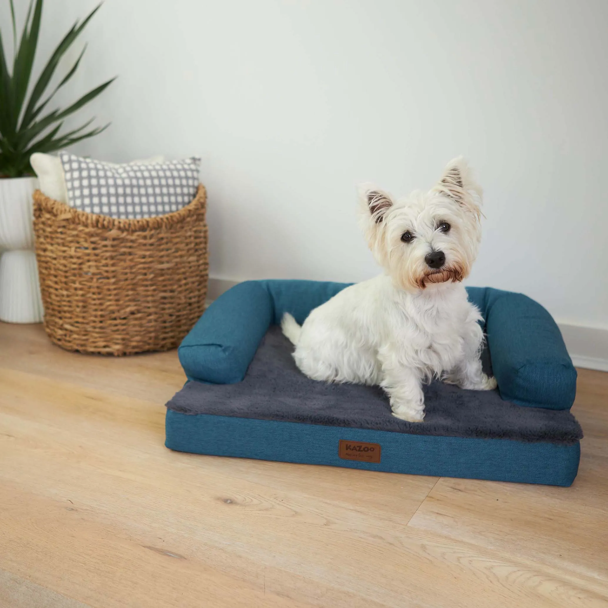 Kazoo Boudoir Large Teal Dog Bed^^^