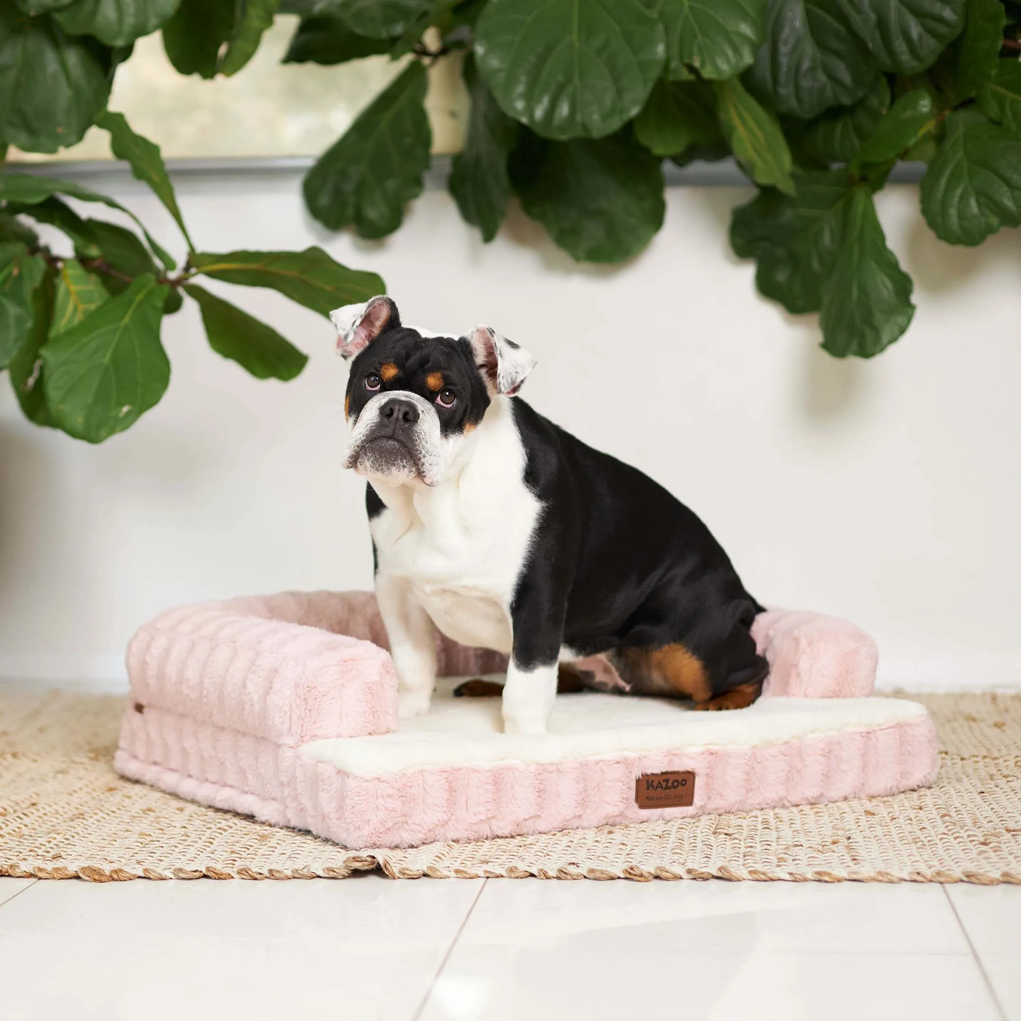 Kazoo Boudoir Medium Blush Dog Bed^^^